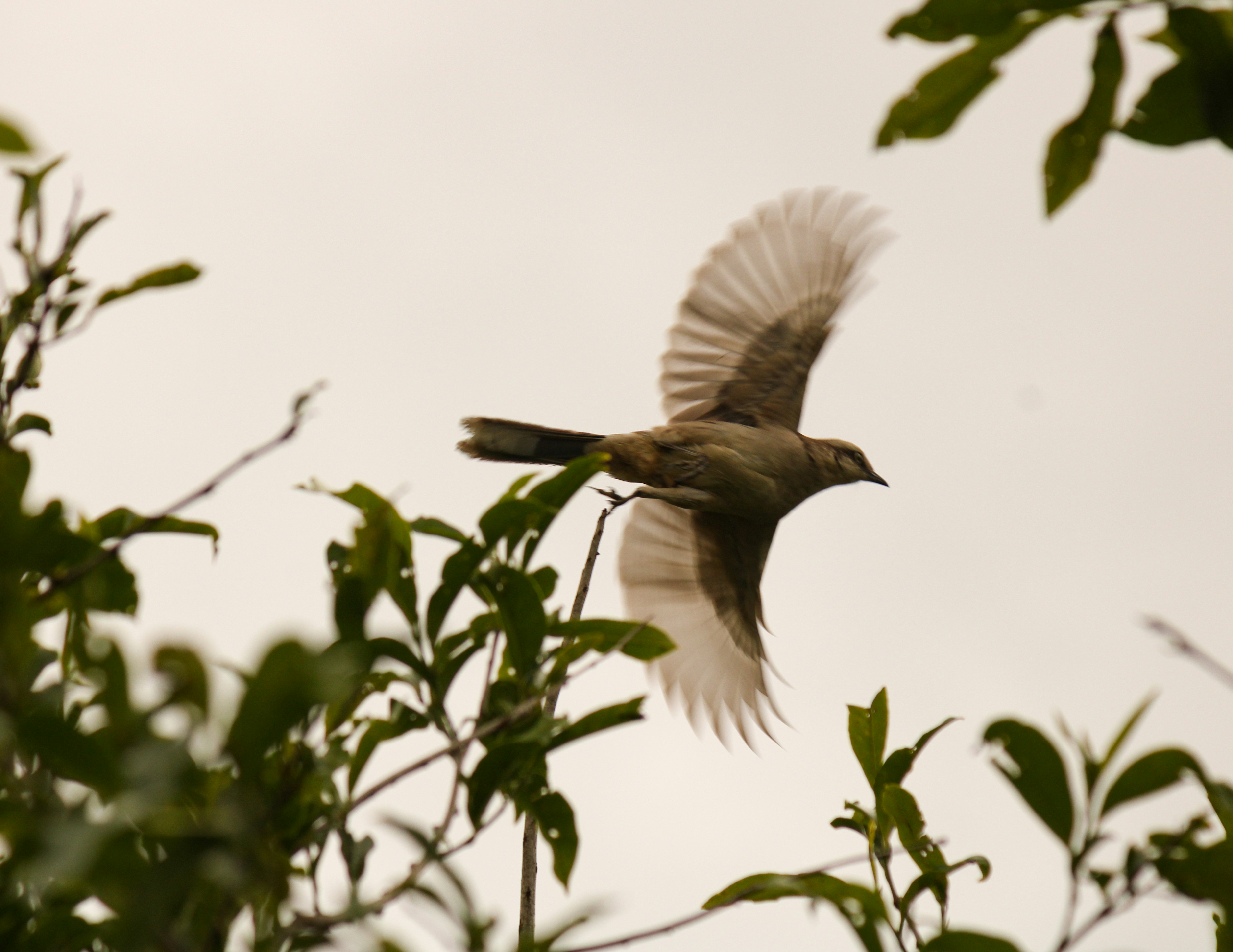 Photo by paulo_pescada