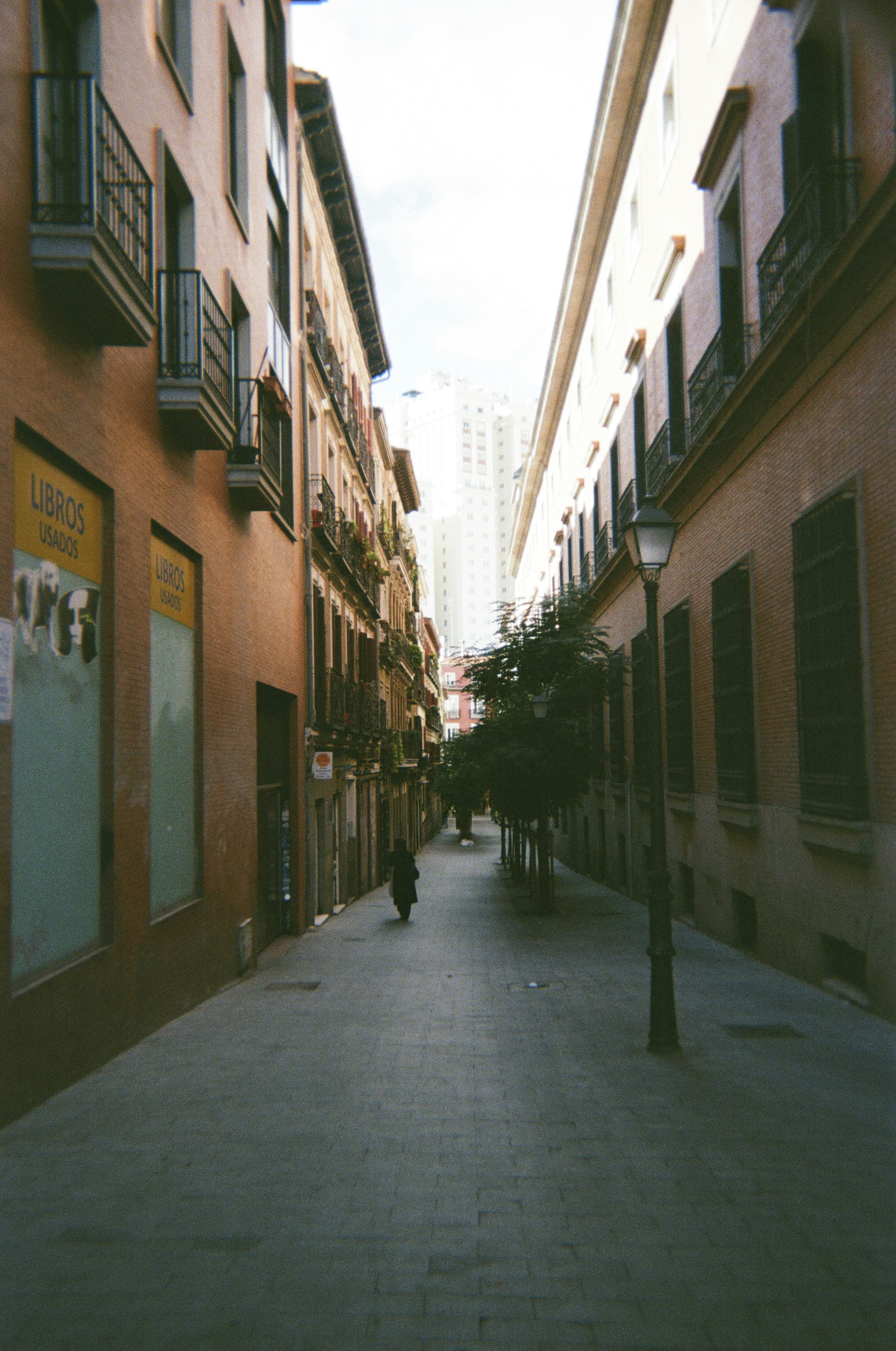Narrow street lined with buildings and trees