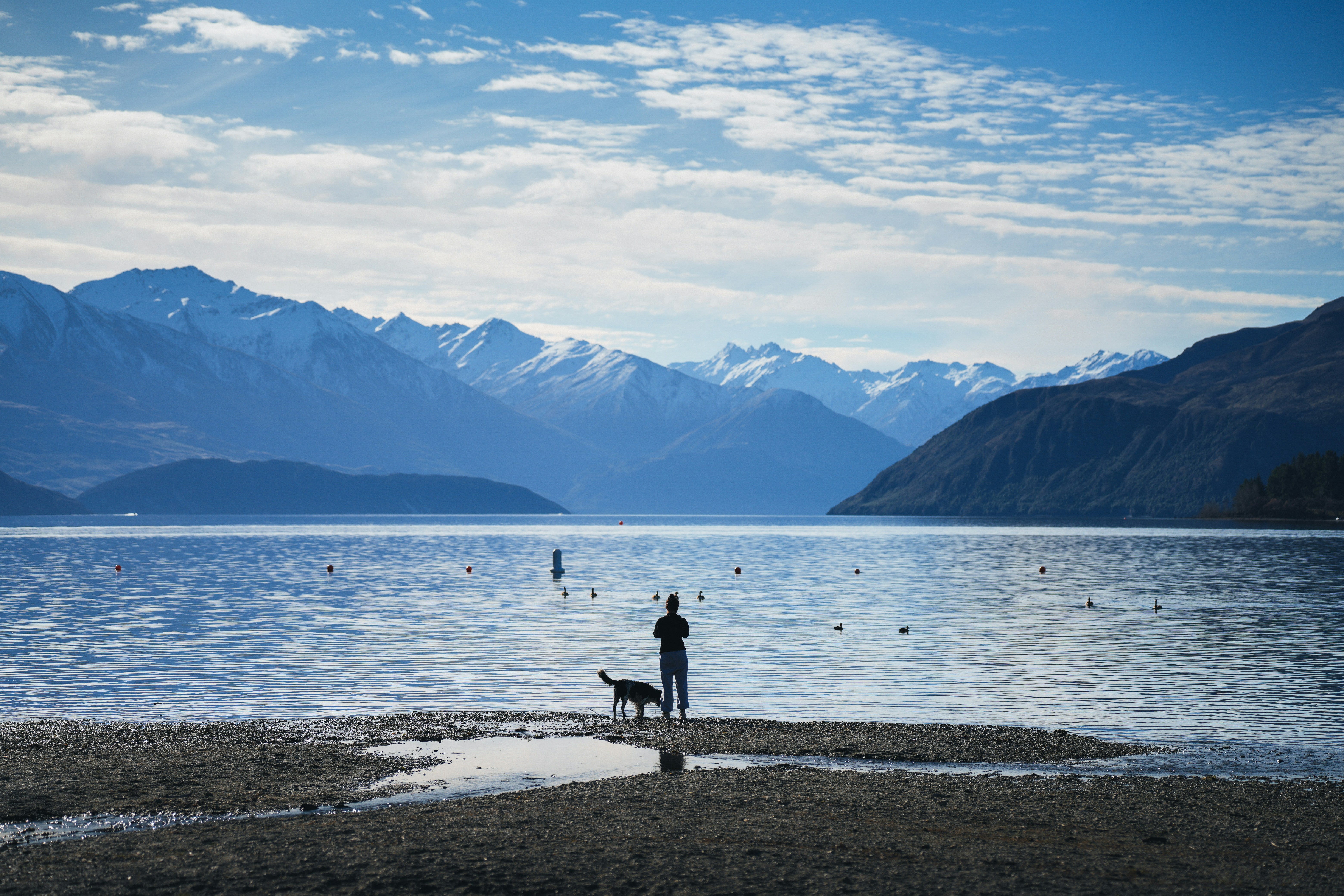 Person with dog on shore, mountains across lake.