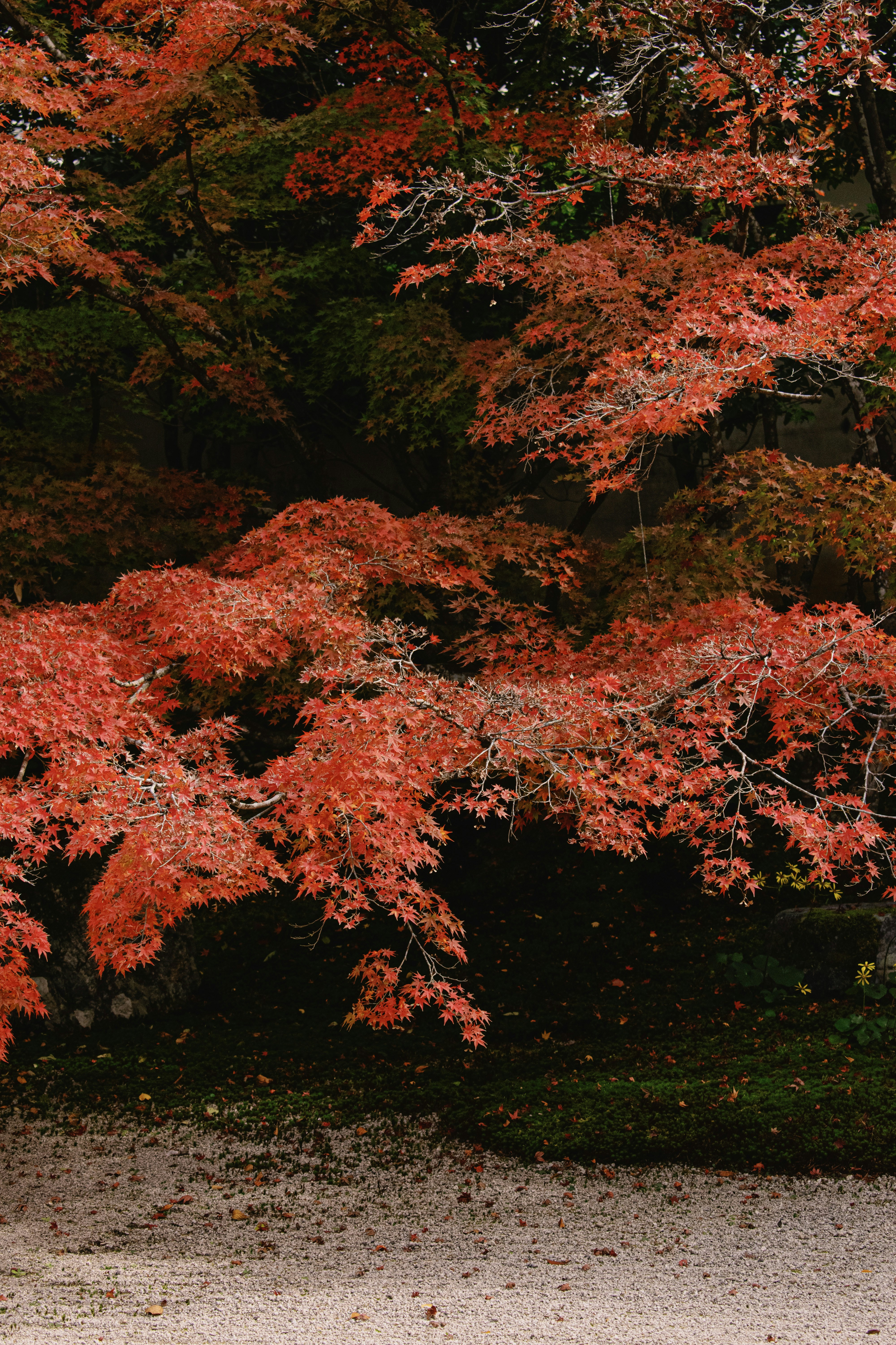 Photo by maxinehuluwa