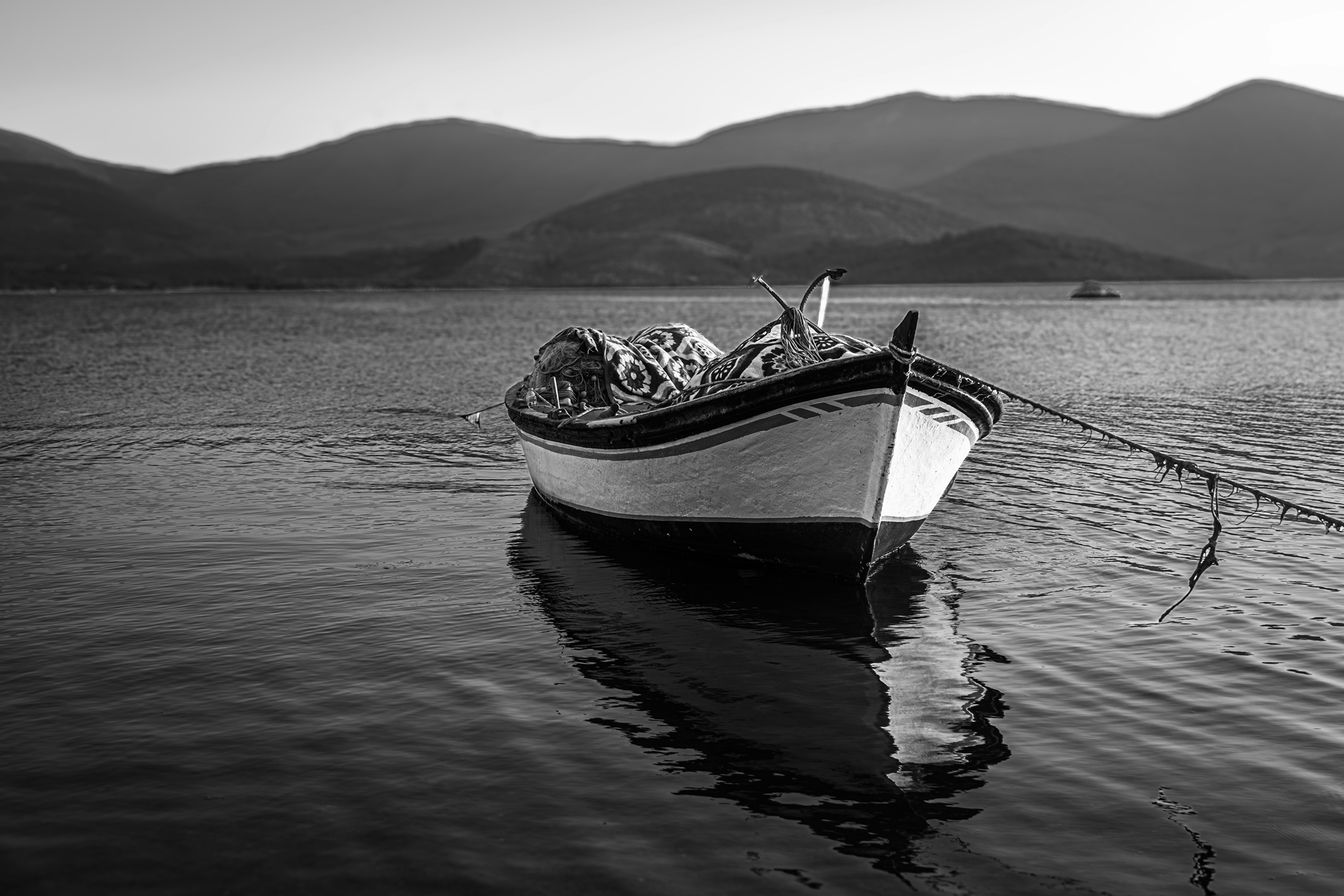 Photo by graphis_photos