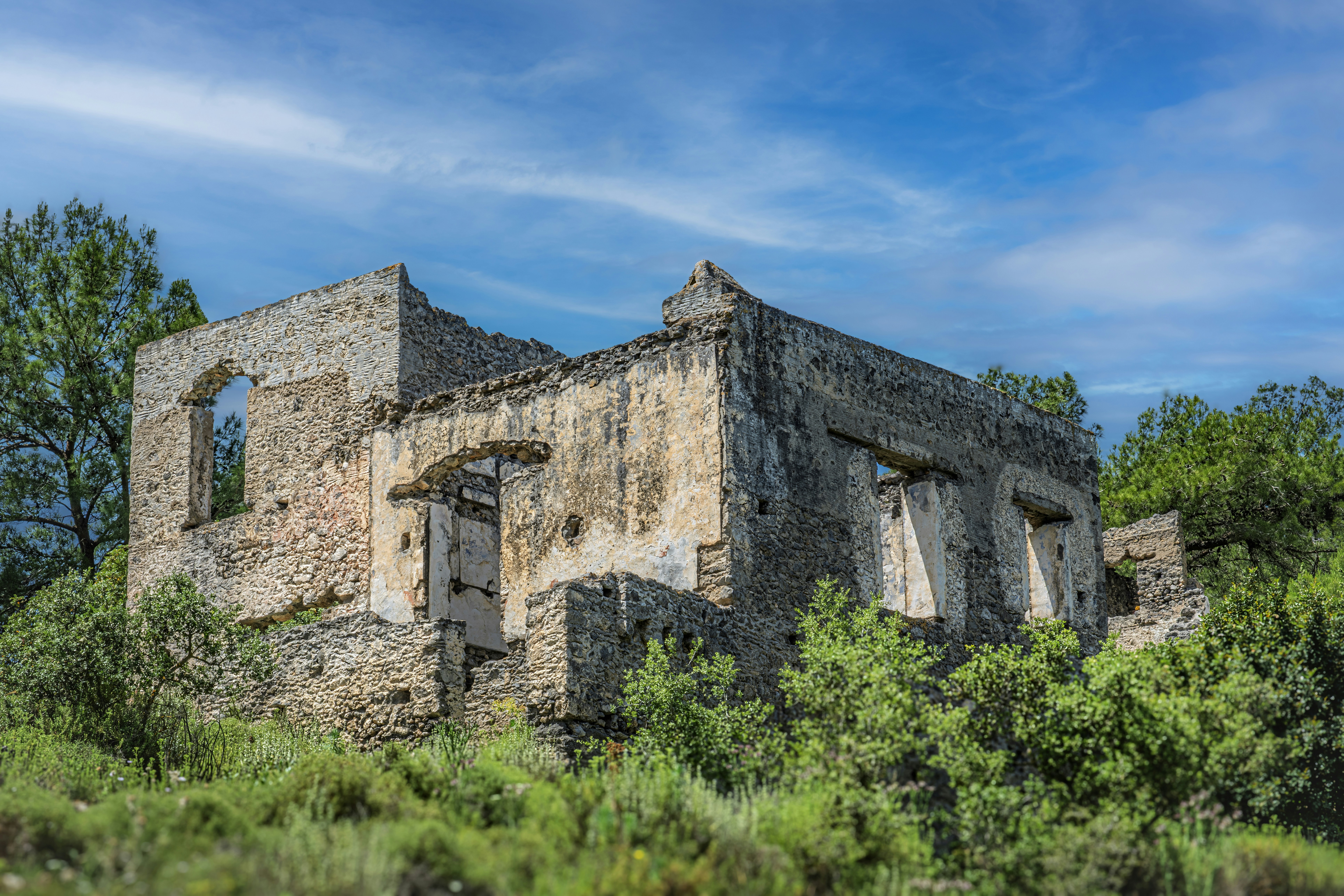 Photo by graphis_photos