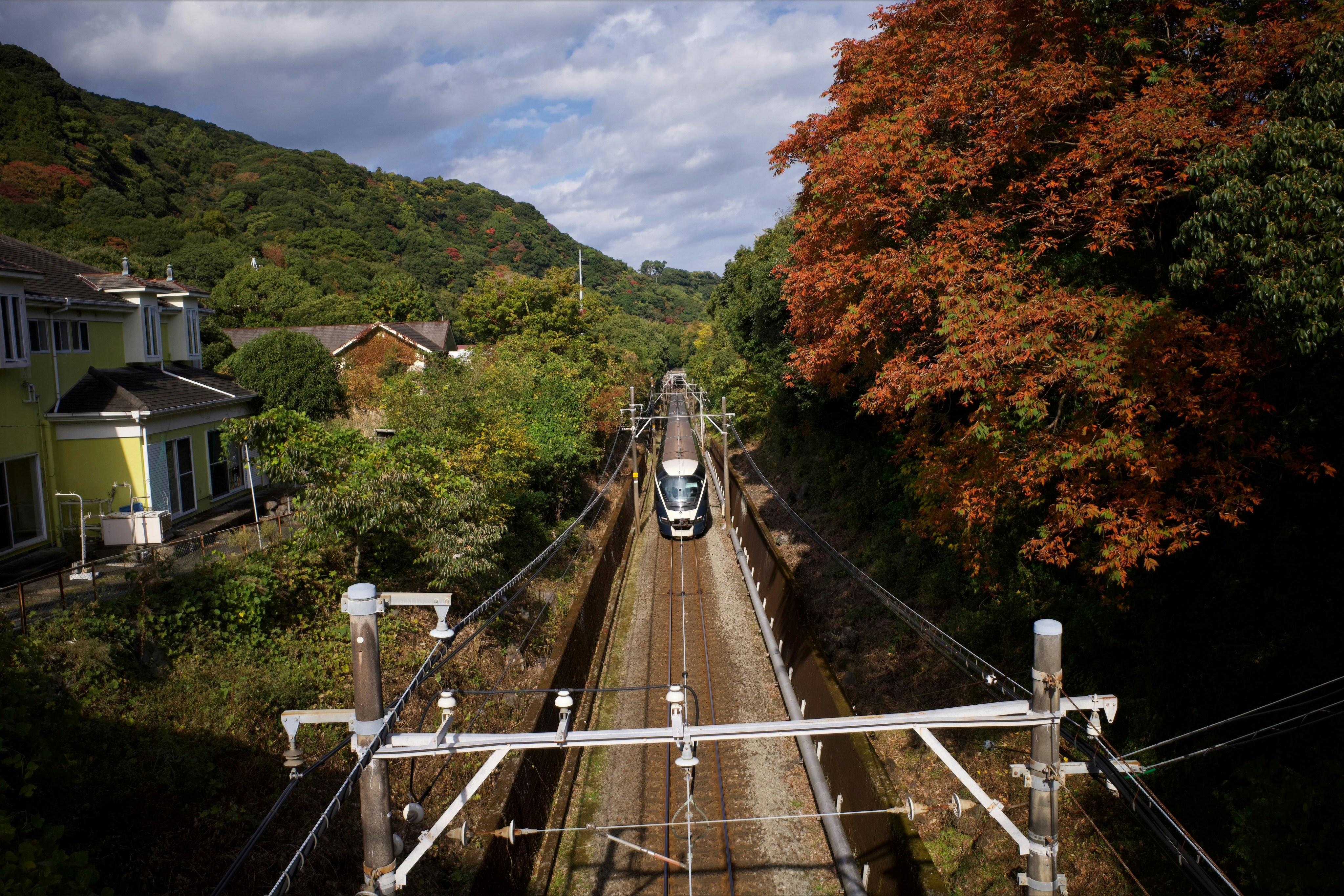 Train traveling on tracks through autumn trees and green trees.