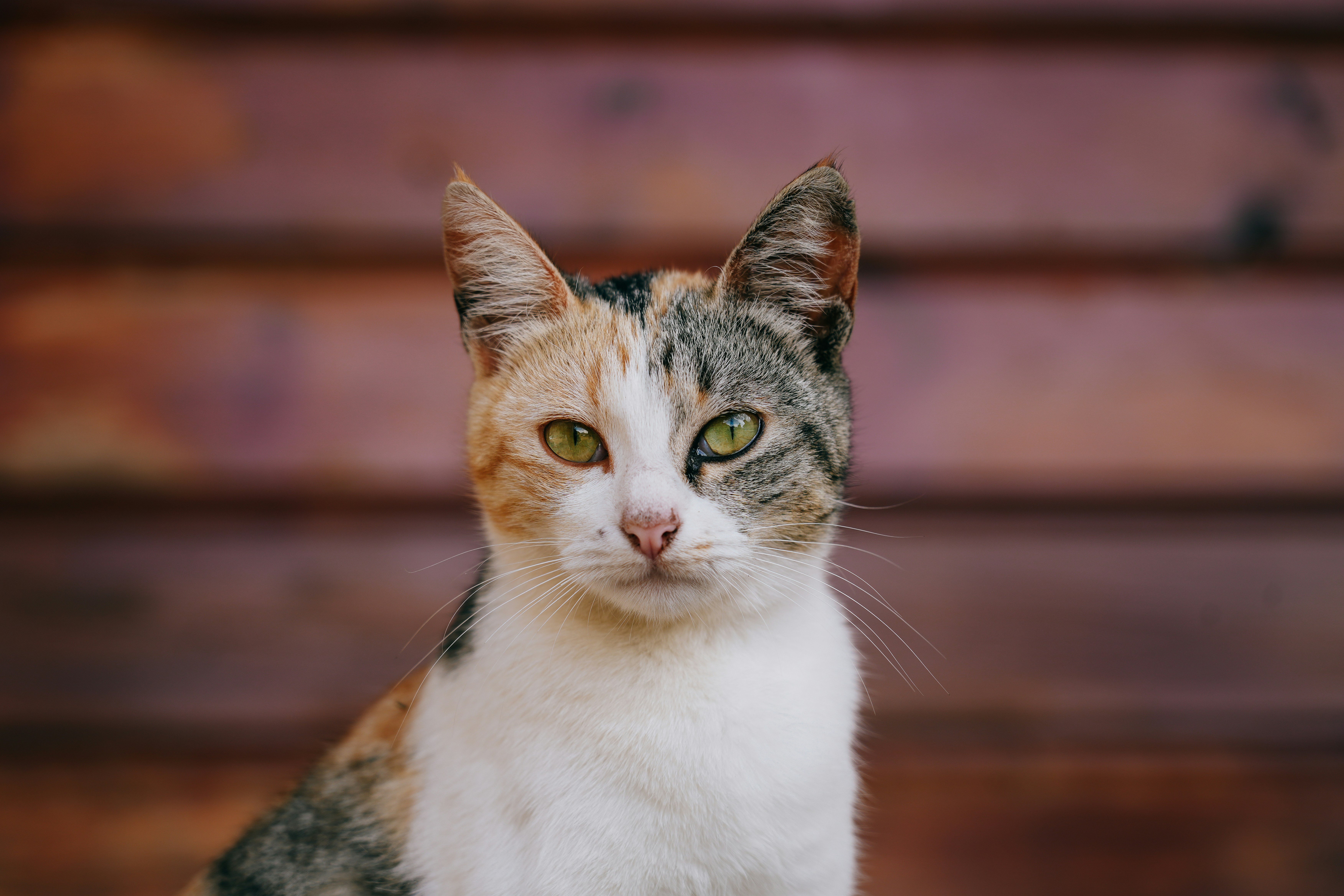 Photo by thomasunderinspo