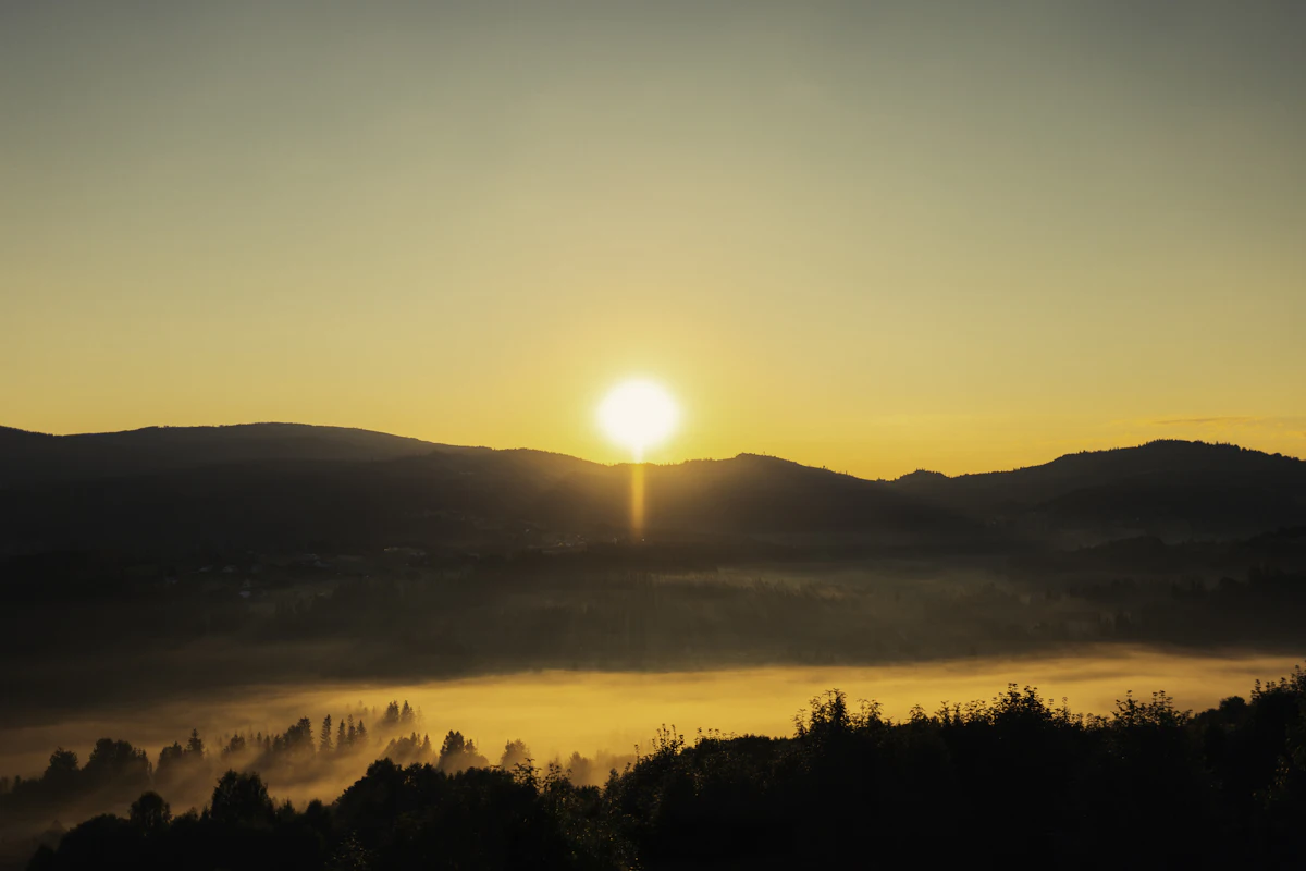 Sunrise over misty mountains and forest.