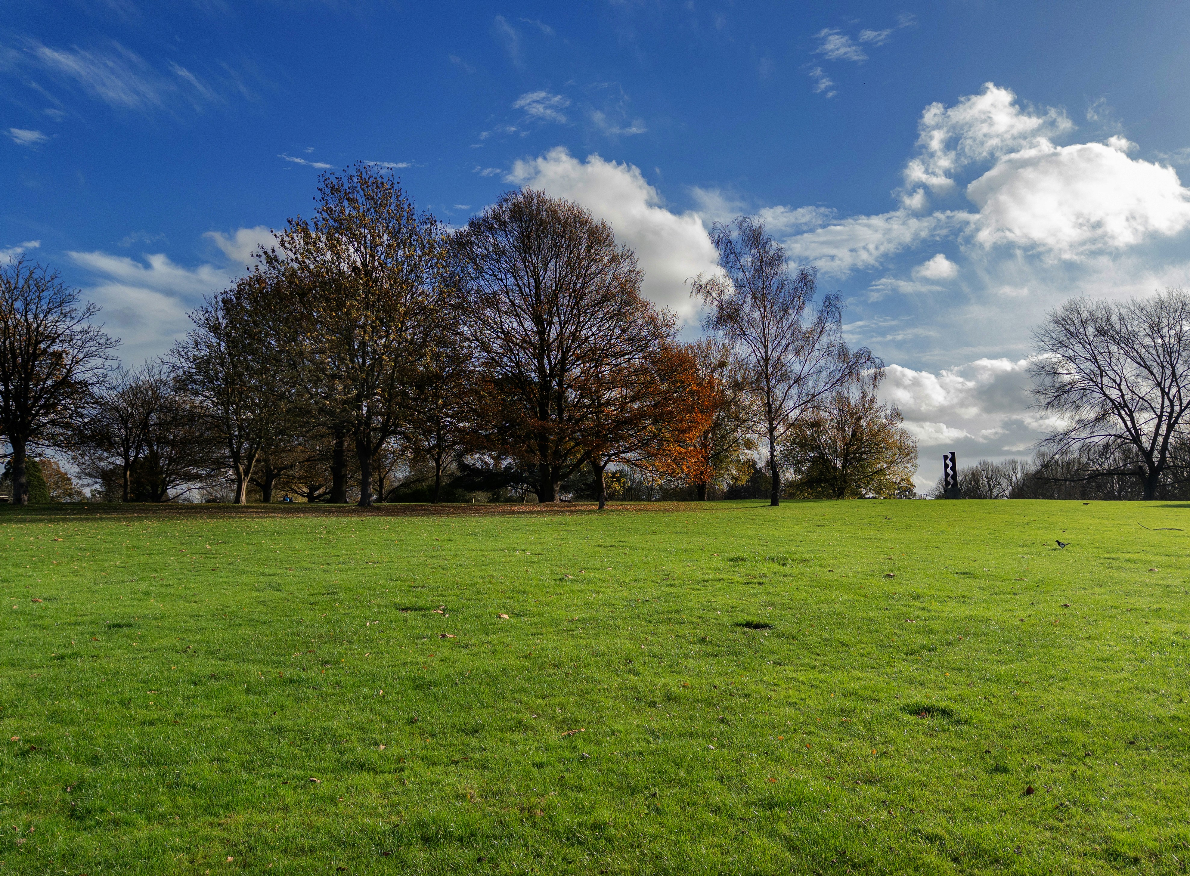 Photo by brett_jordan