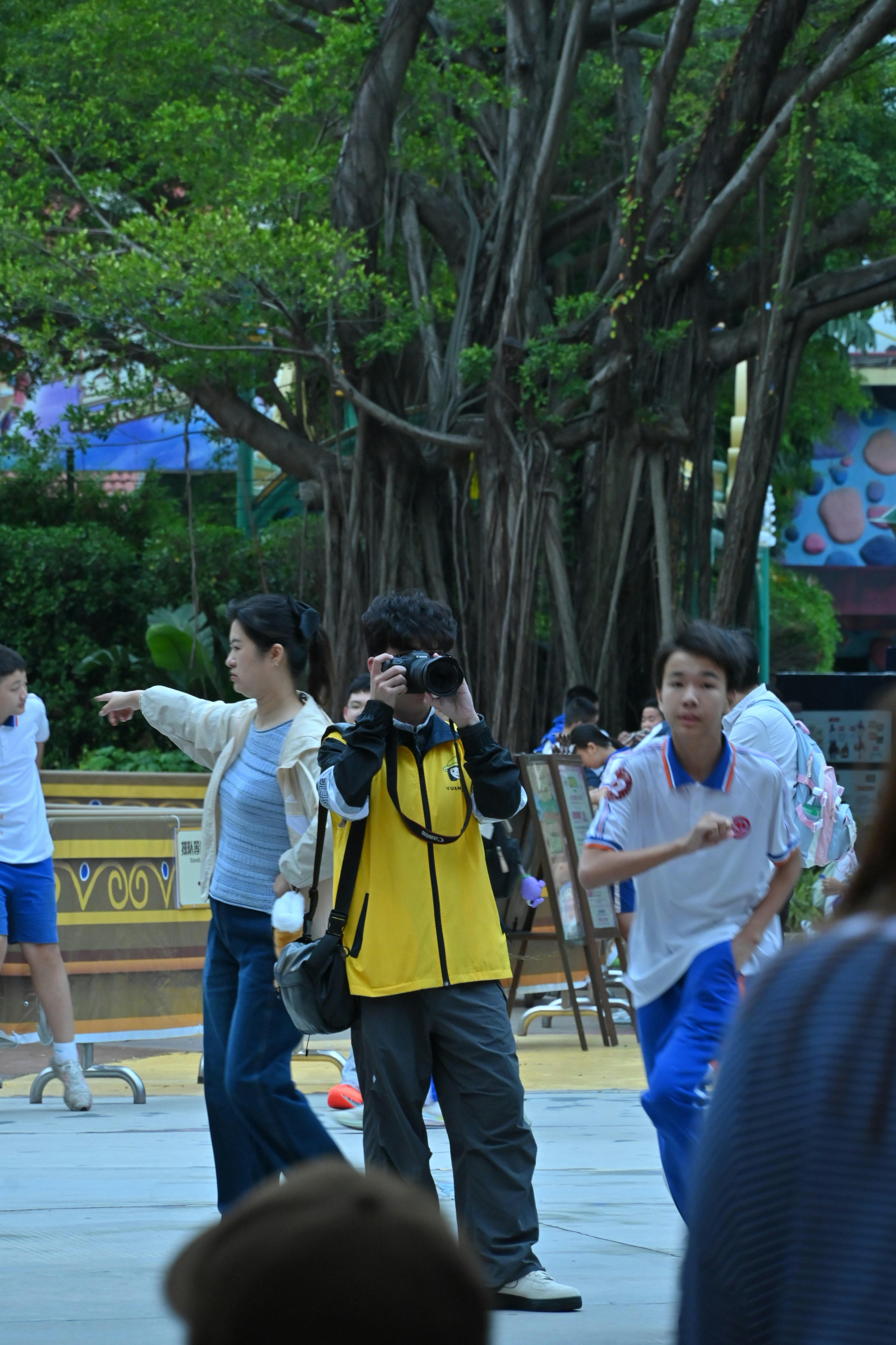 Des gens prenant des photos sous un grand arbre.