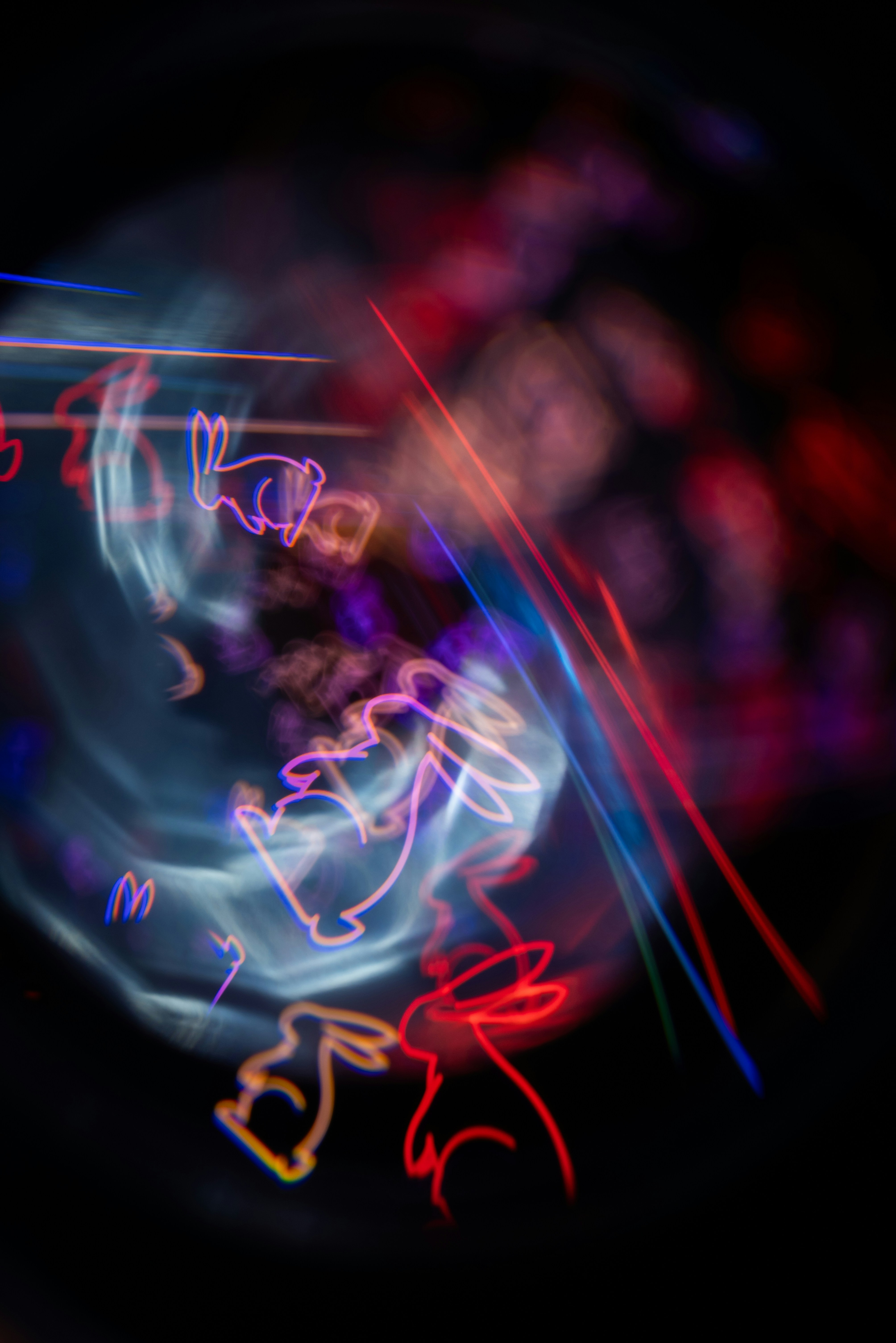 Photo by andrilliardbond