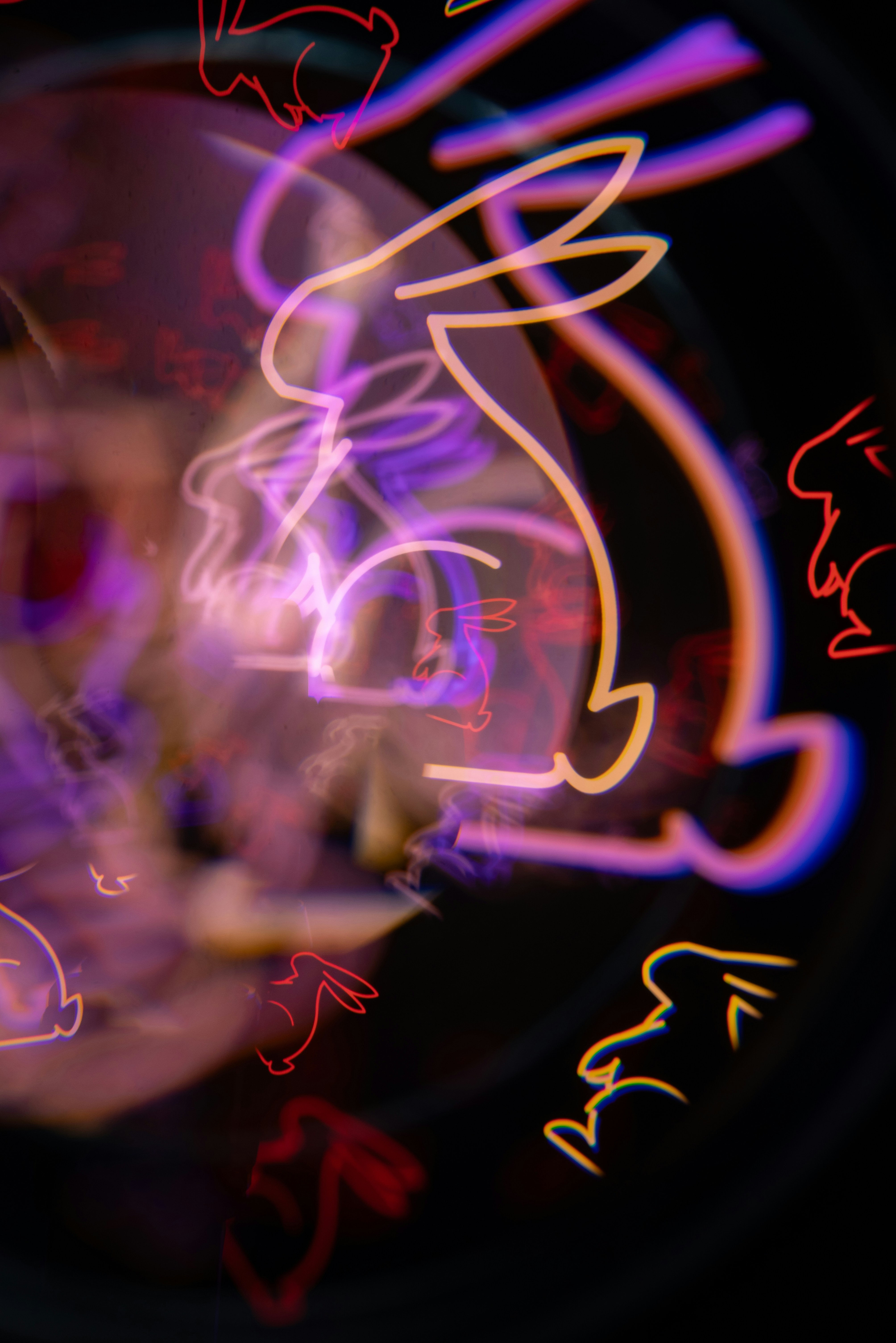 Photo by andrilliardbond