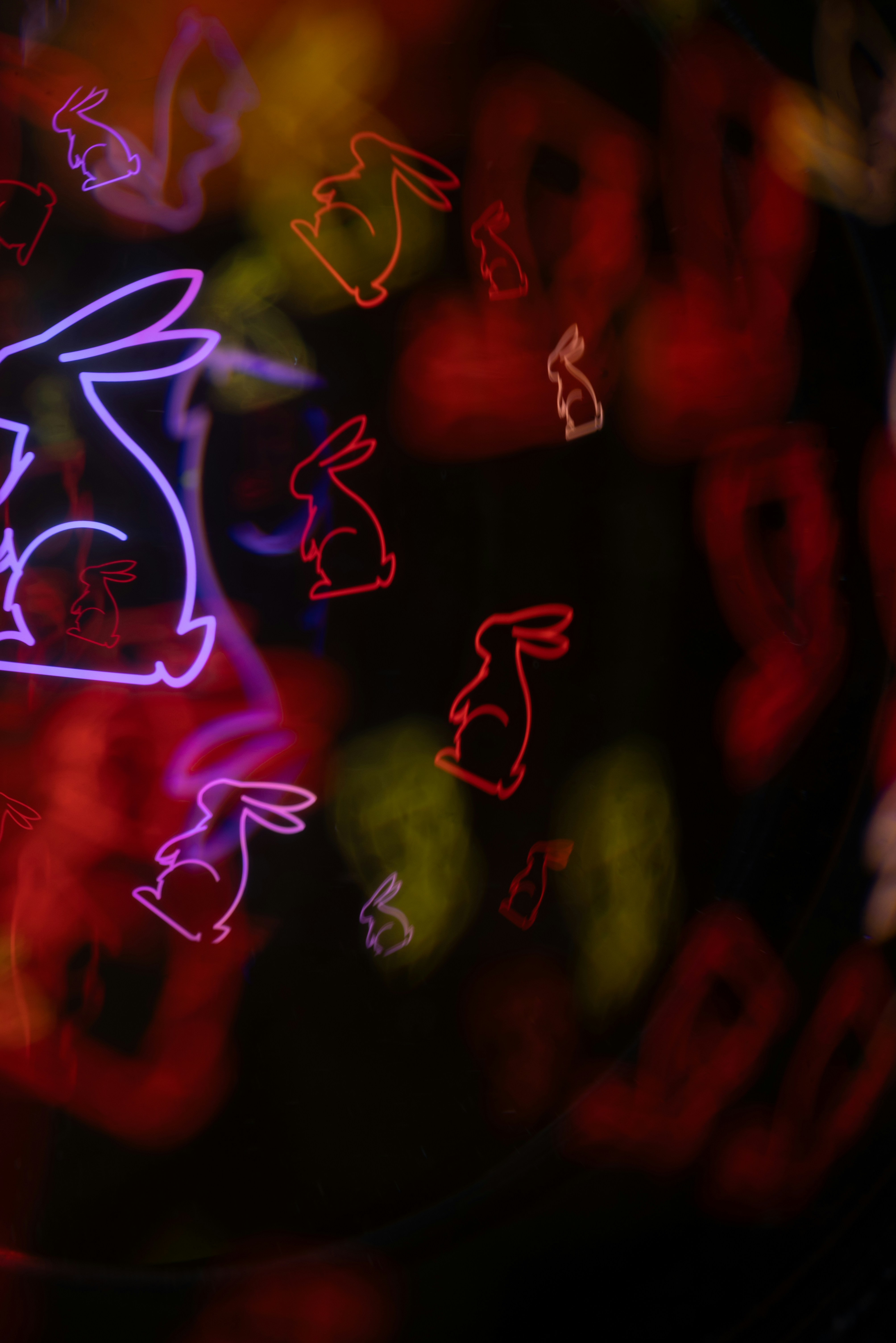 Photo by andrilliardbond