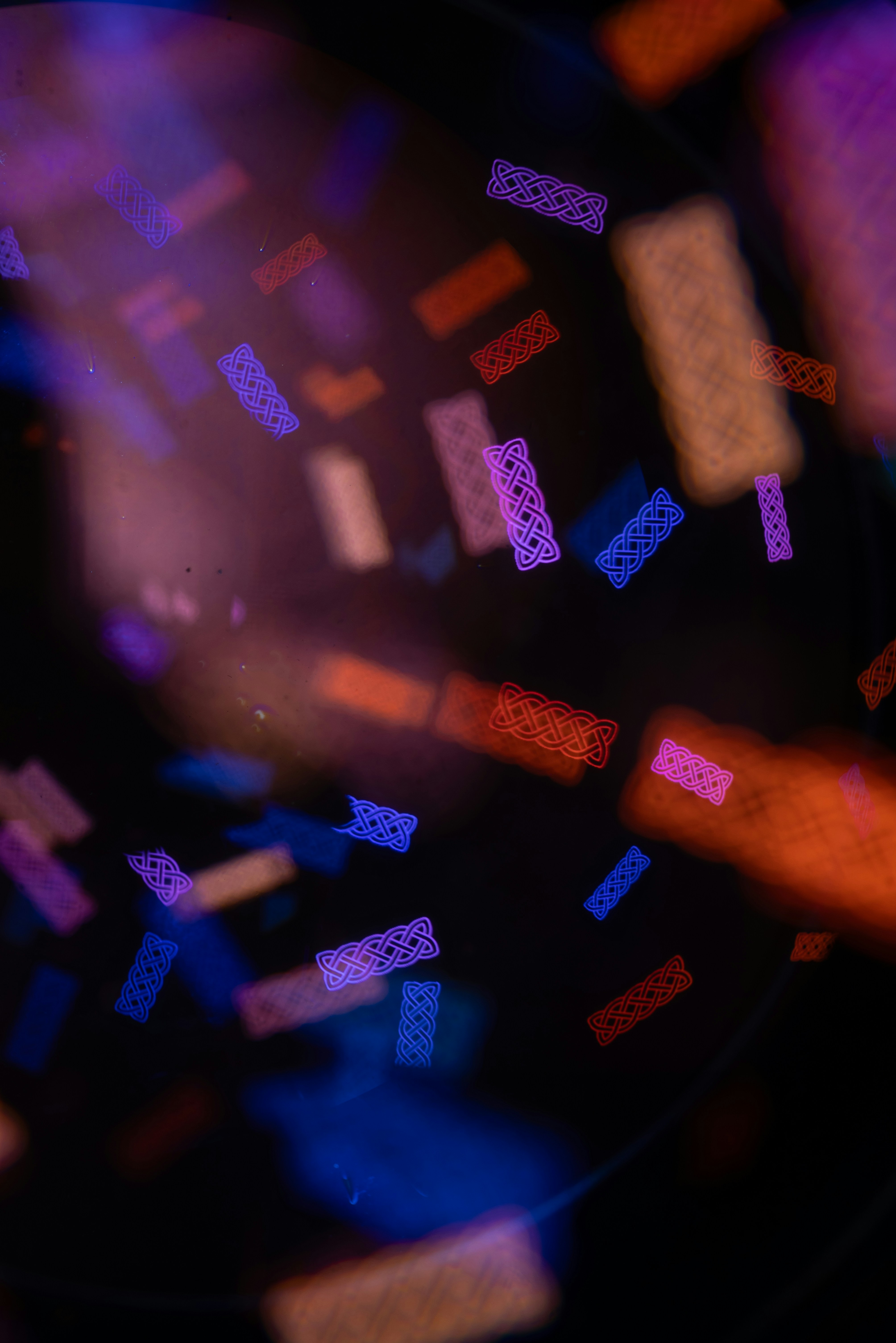 Photo by andrilliardbond