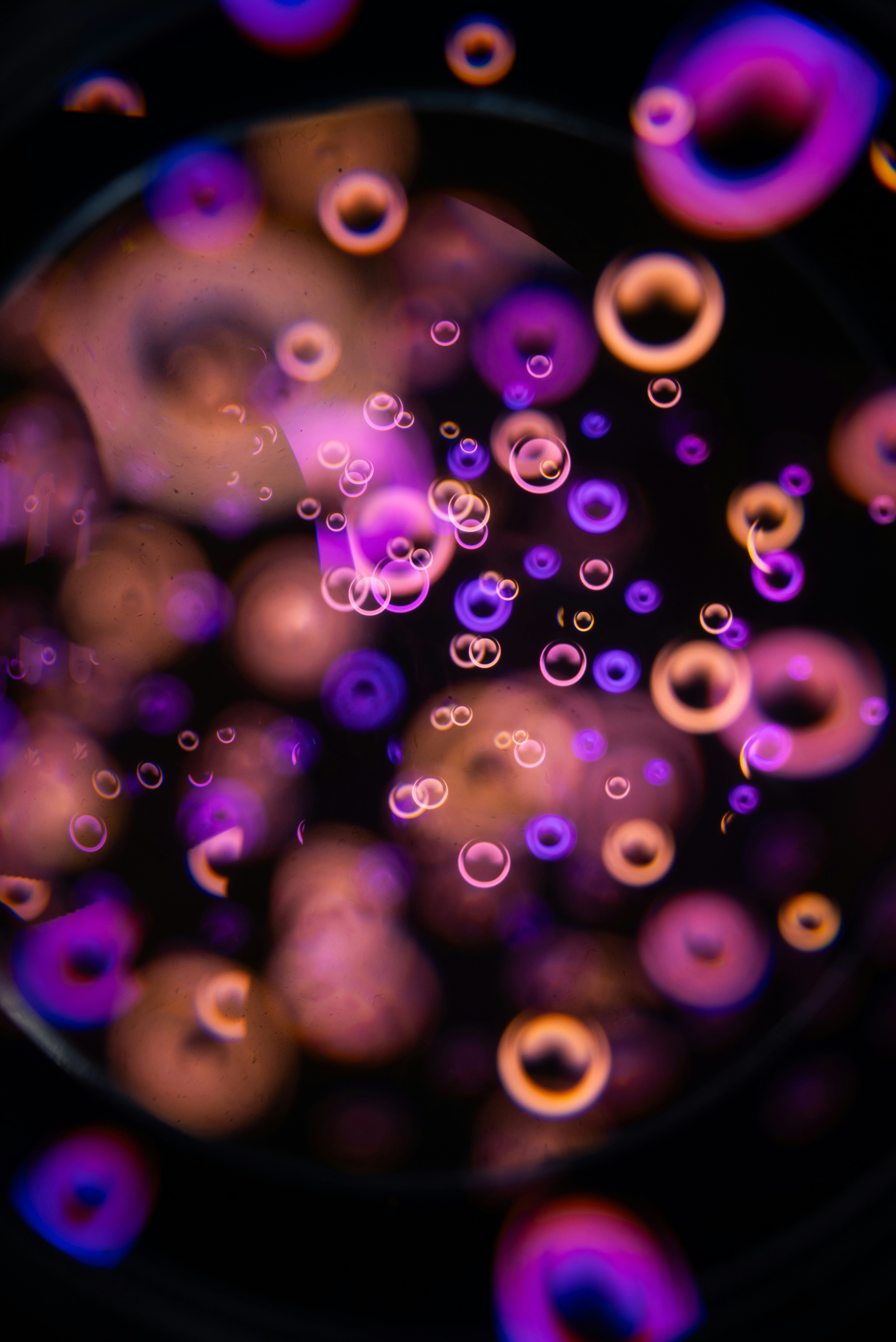 Photo by andrilliardbond