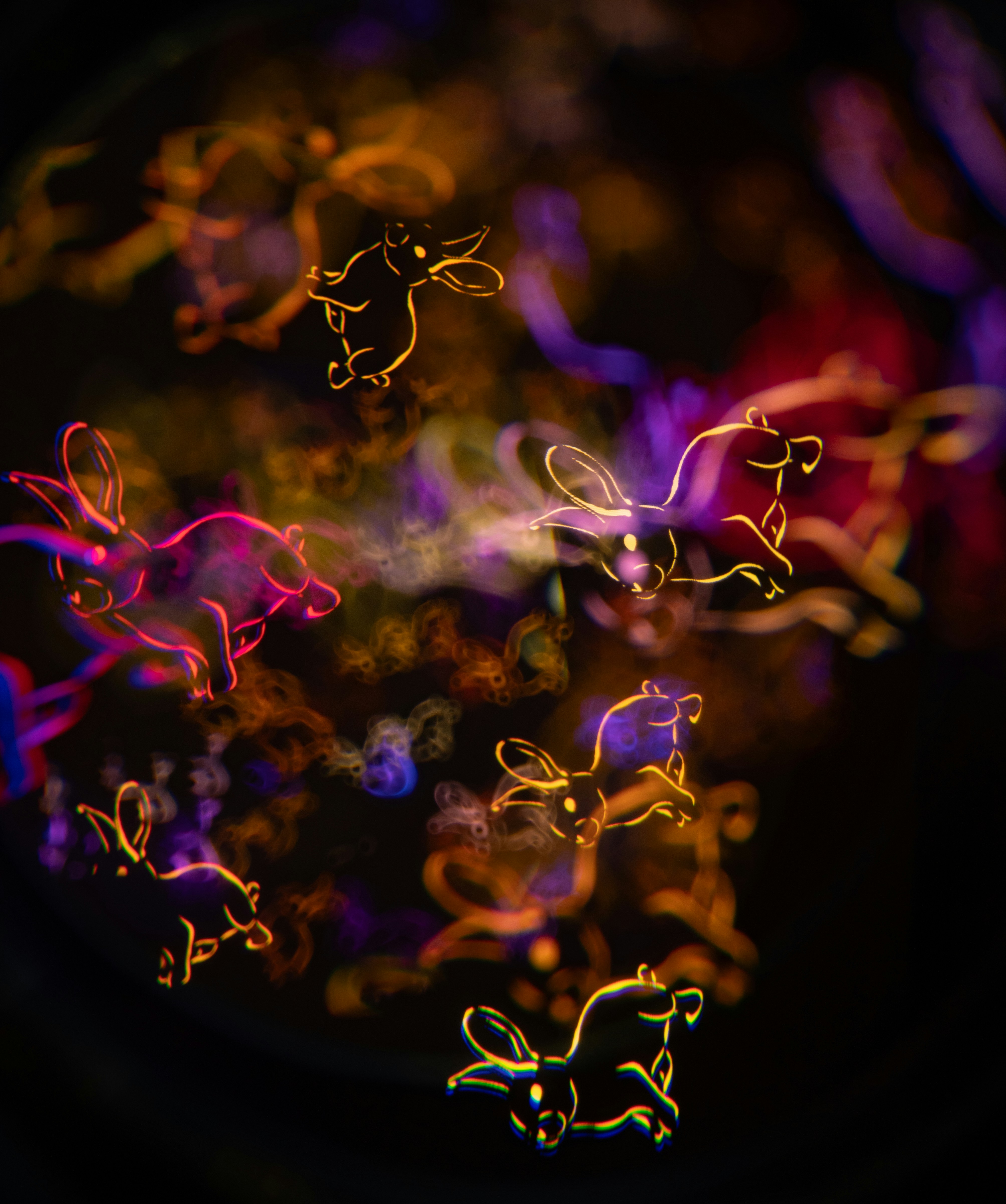 Photo by andrilliardbond