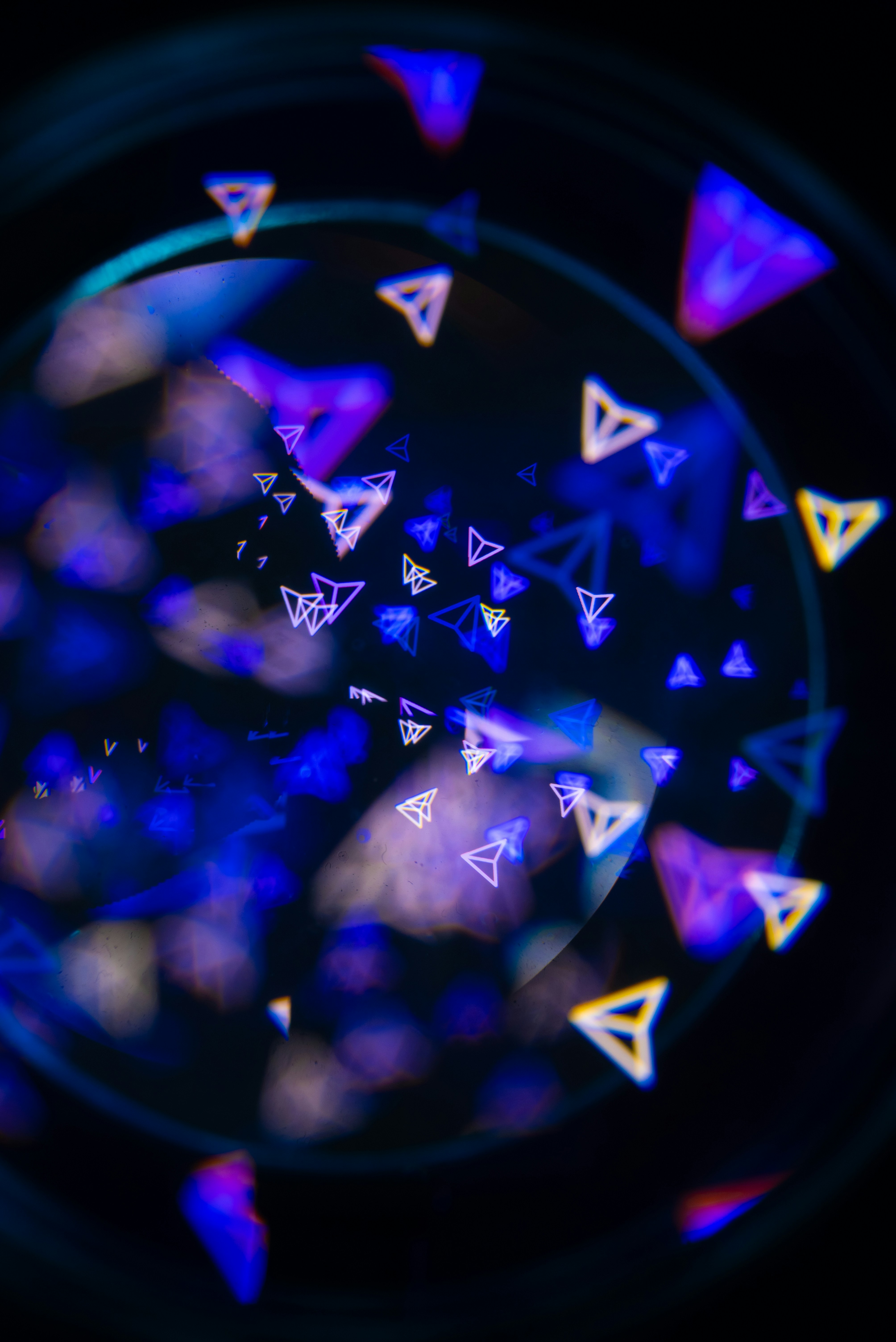 Photo by andrilliardbond