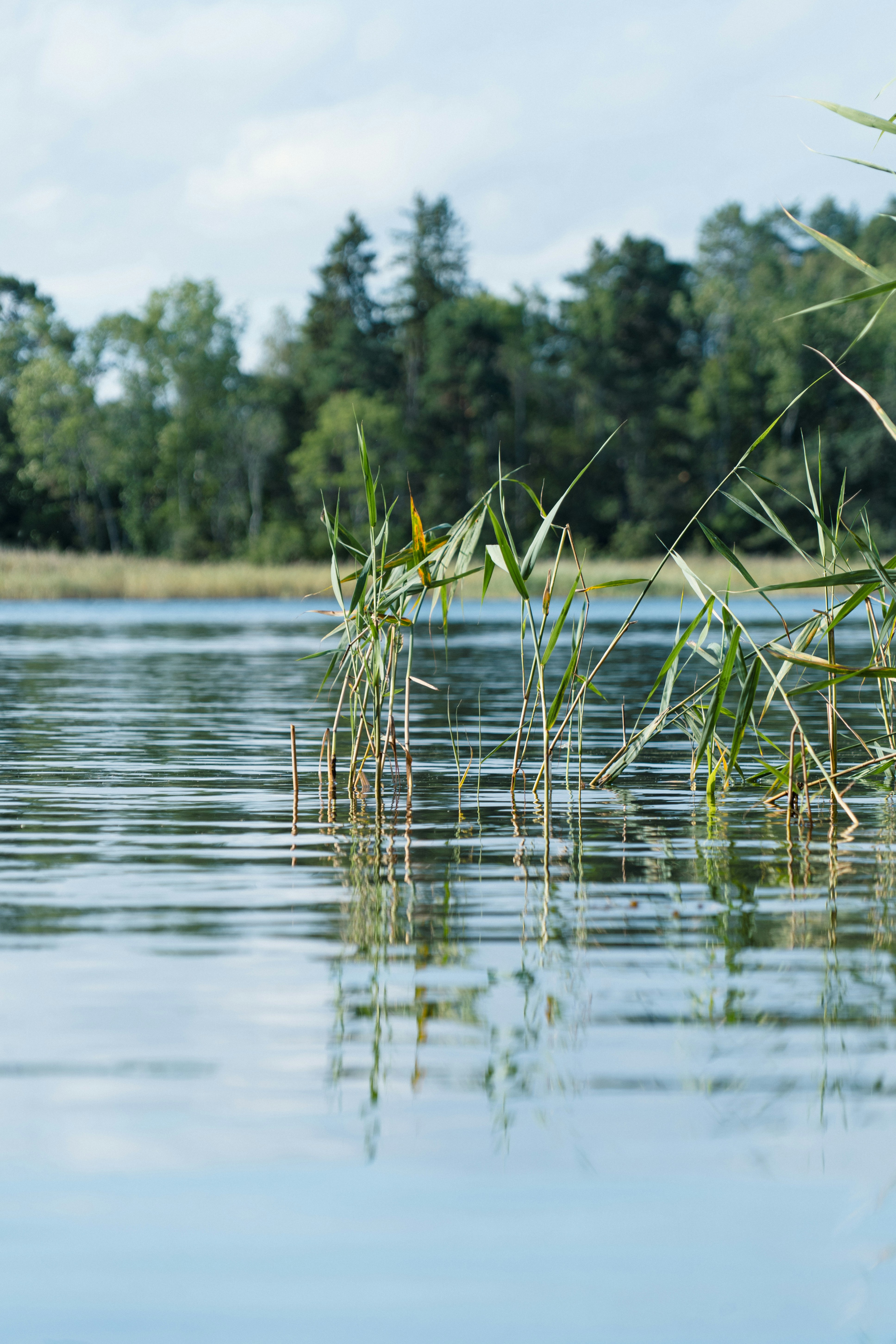 Photo by melina_dominic