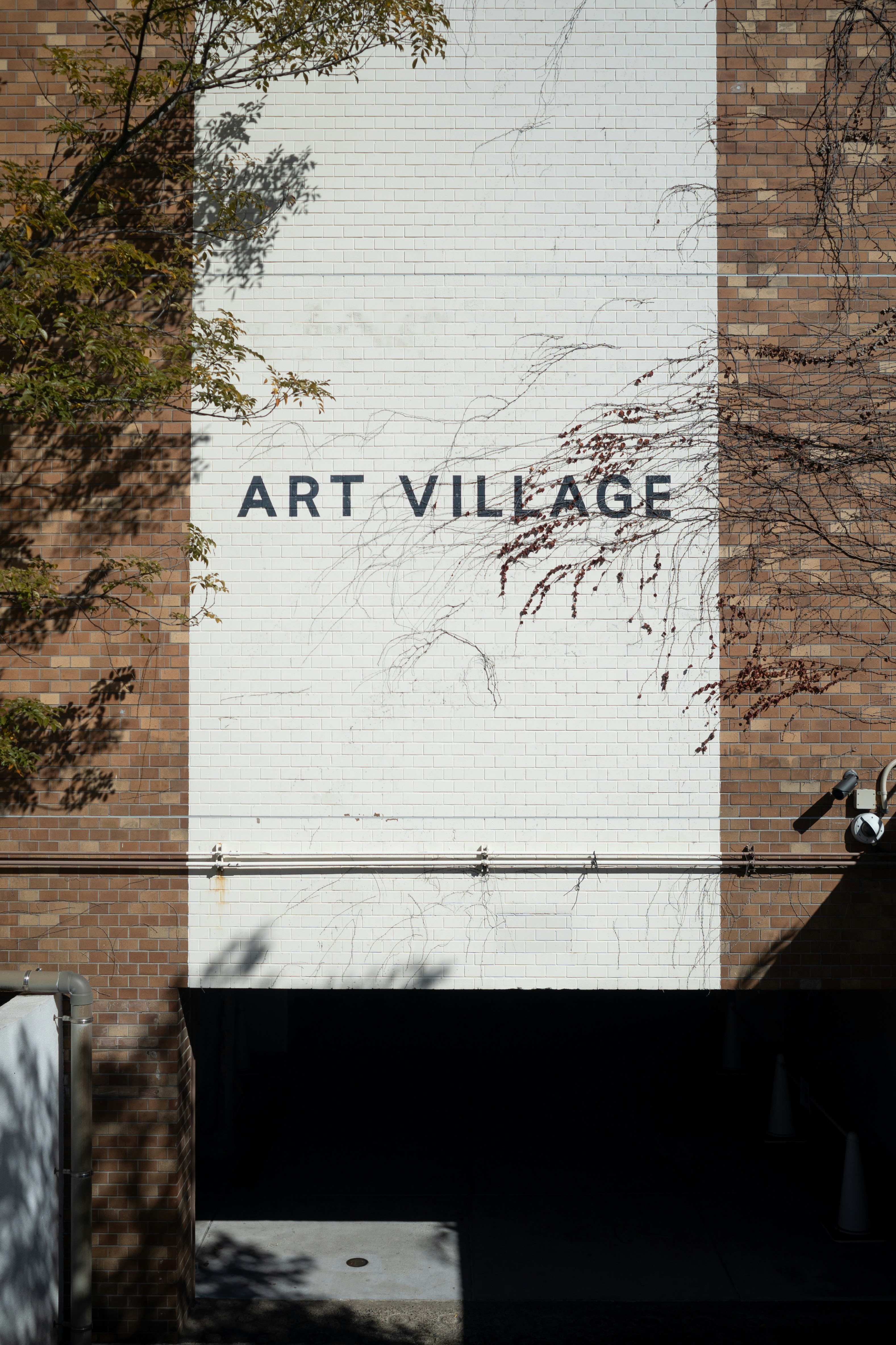 Interactive art and community revitalization in Japanese village