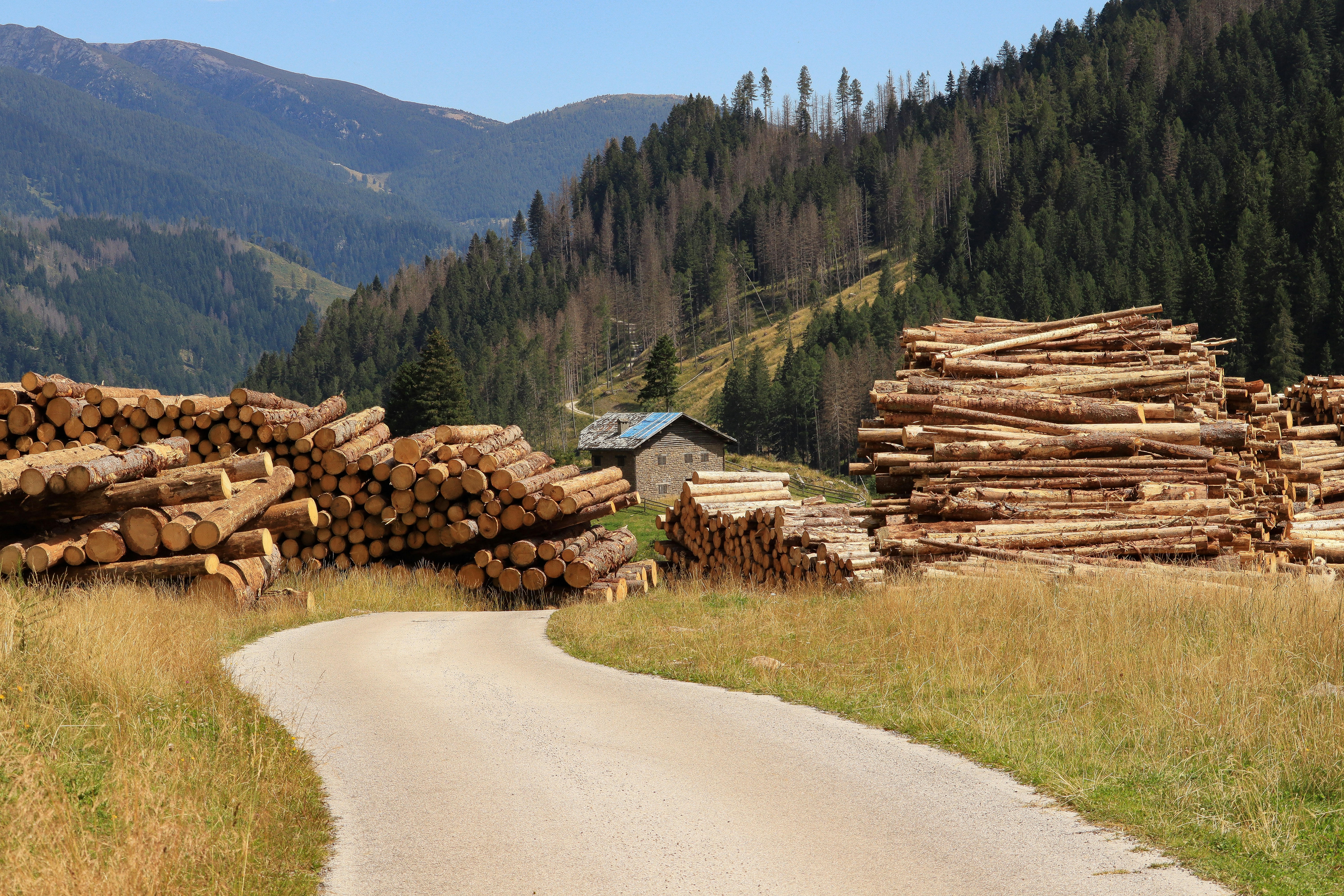 Sustainable Forestry