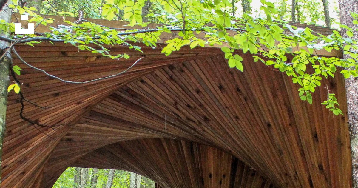 Wood Vortex Pattern Wooden structure with a swirling vortex design in forest photo – Free ...