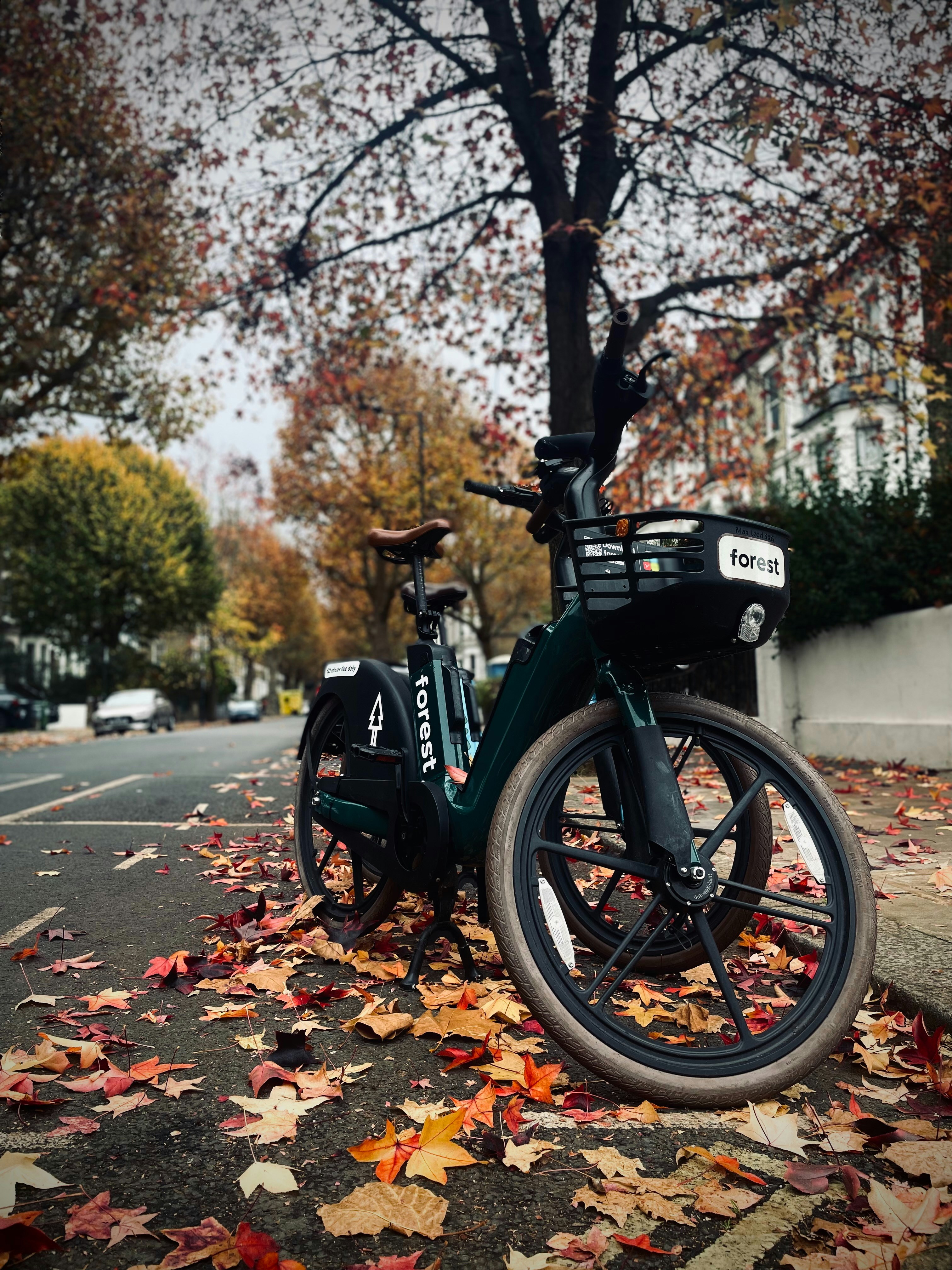 A bicycle parked on a street covered in autumn leaves.