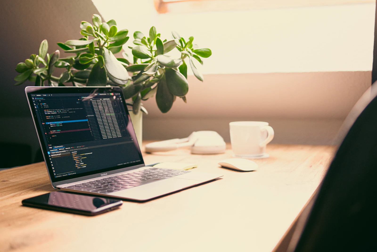 Developer workspace for testing site interactions
