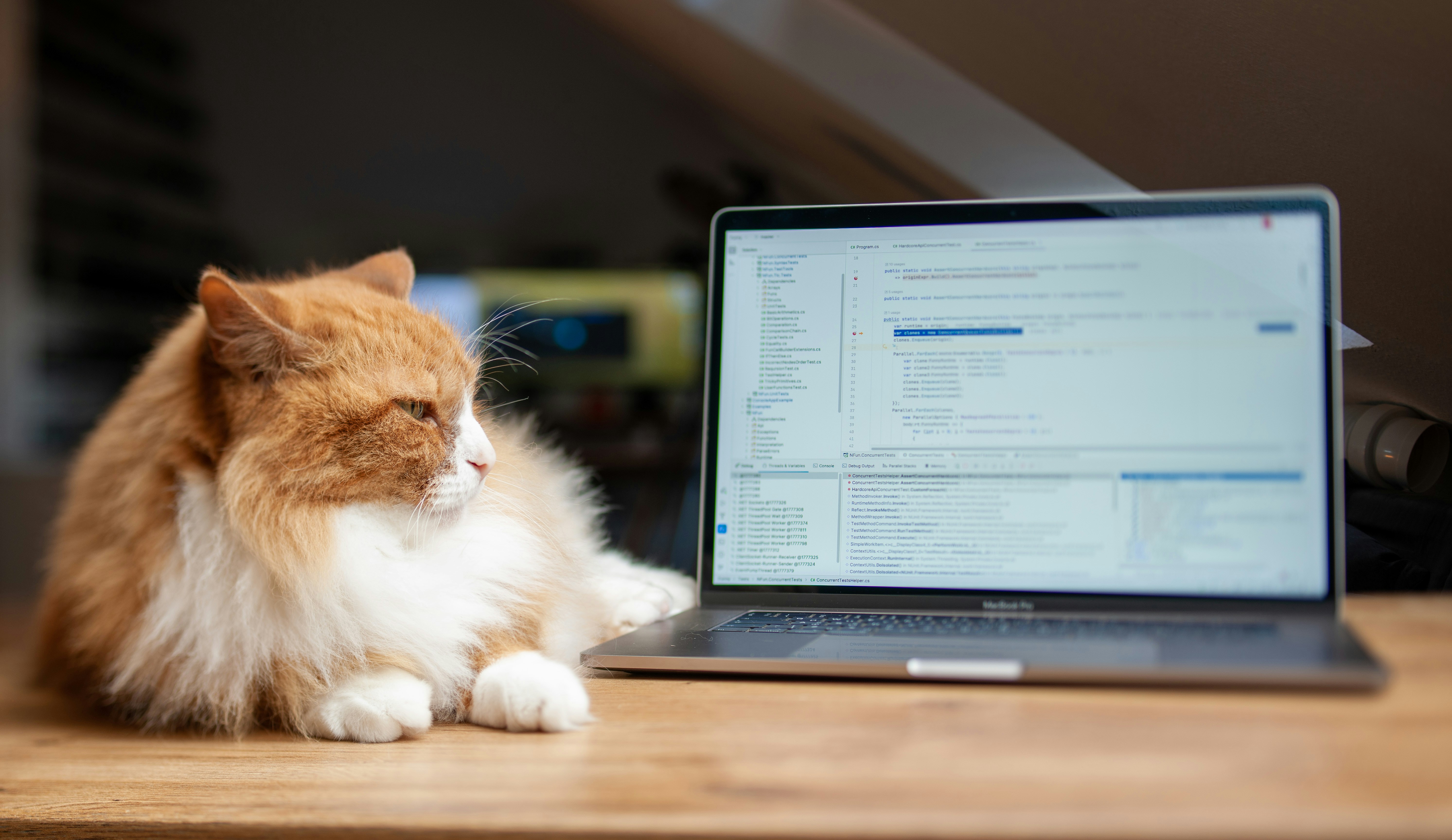 Un gato naranja y esponjoso yace junto a un portátil.