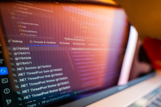 Computer screen displaying code and data.