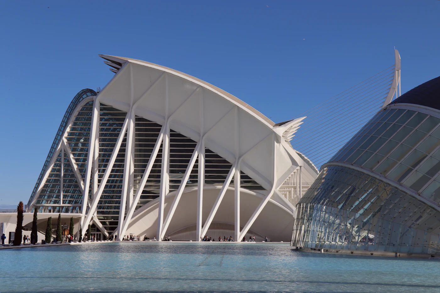 Witte ribben van het Museu de les Ciències in Valencia boven een turquoise vijver
