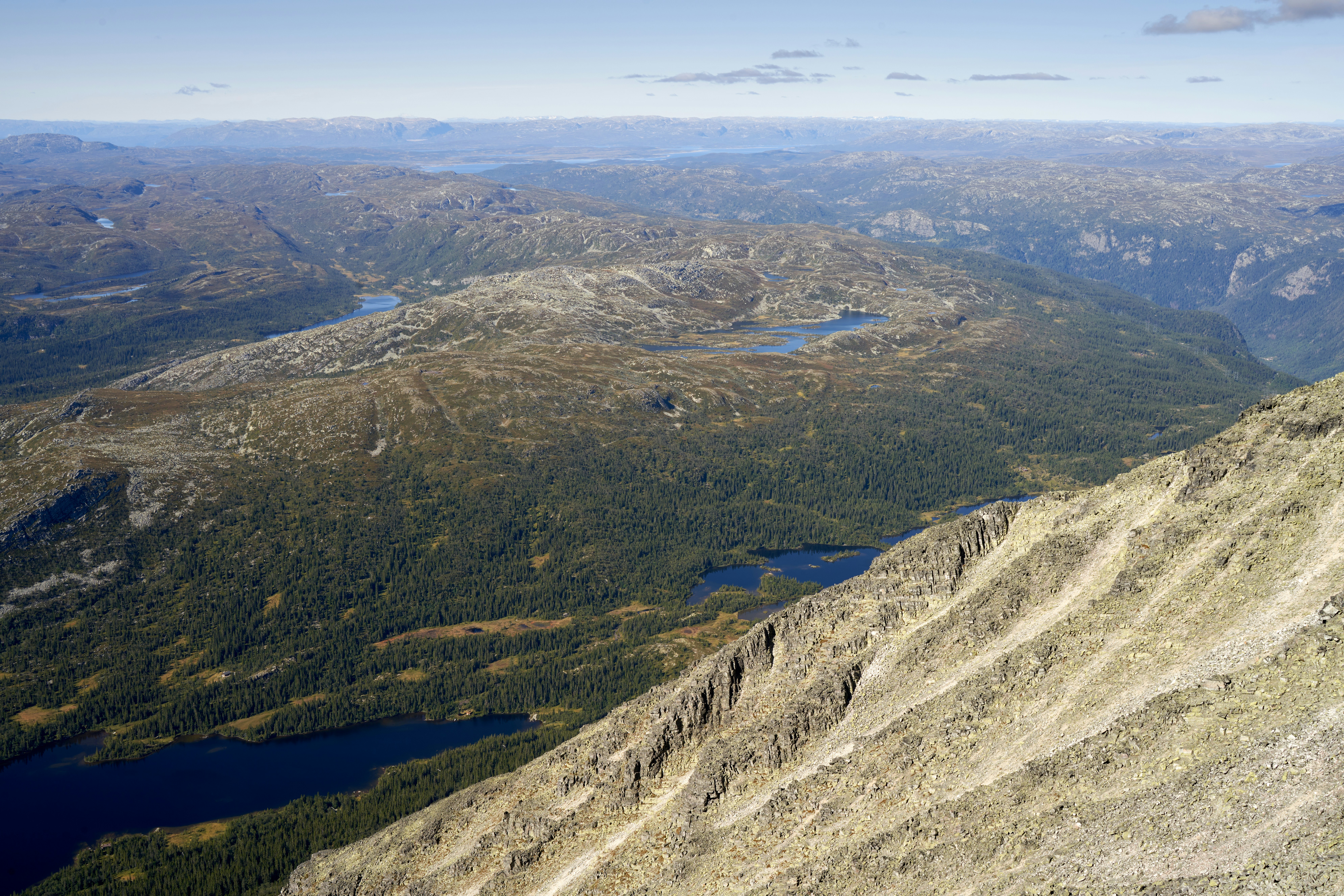 Photo by davotibarna