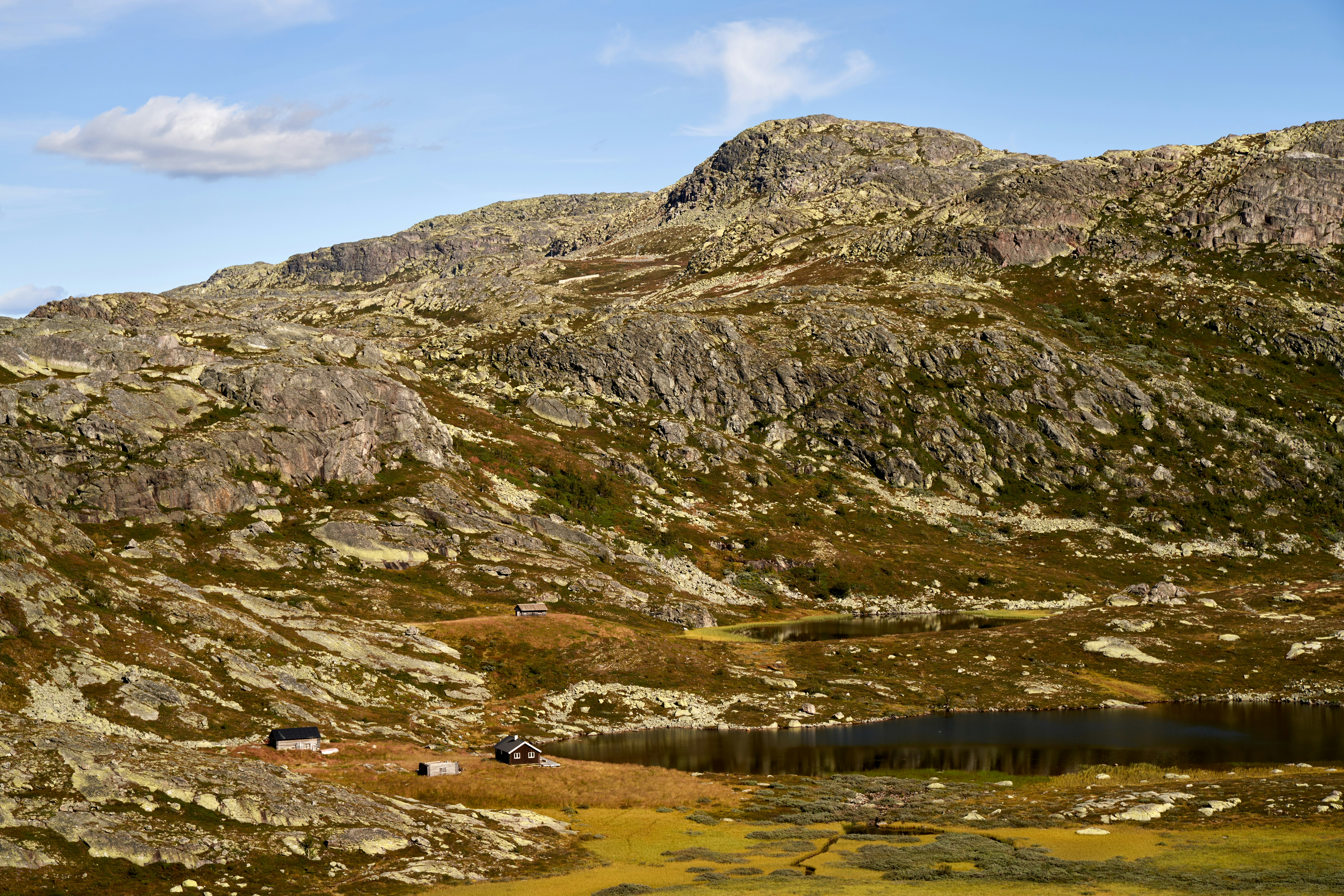 Photo by davotibarna