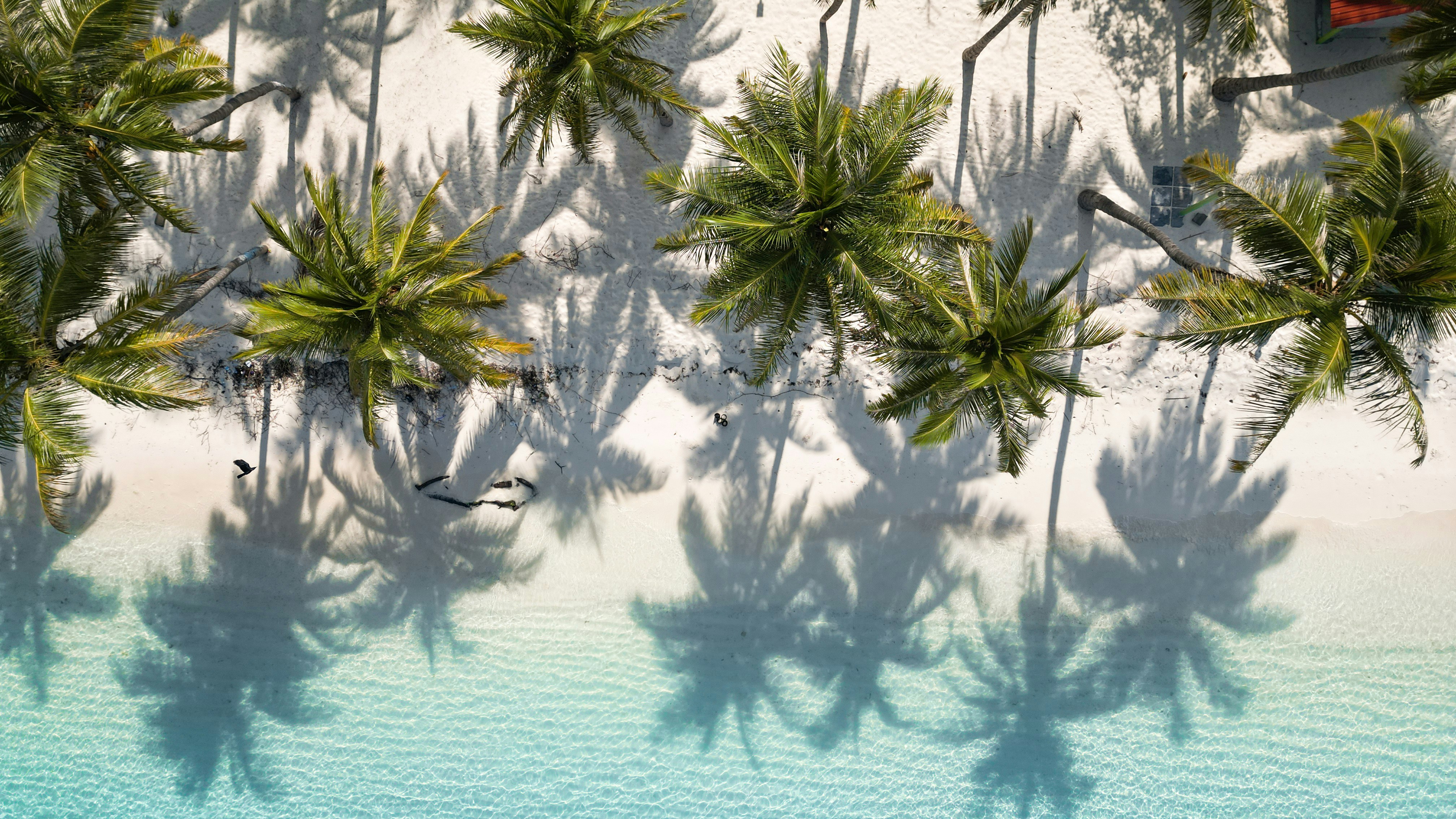 Photo by anmadezzzzz