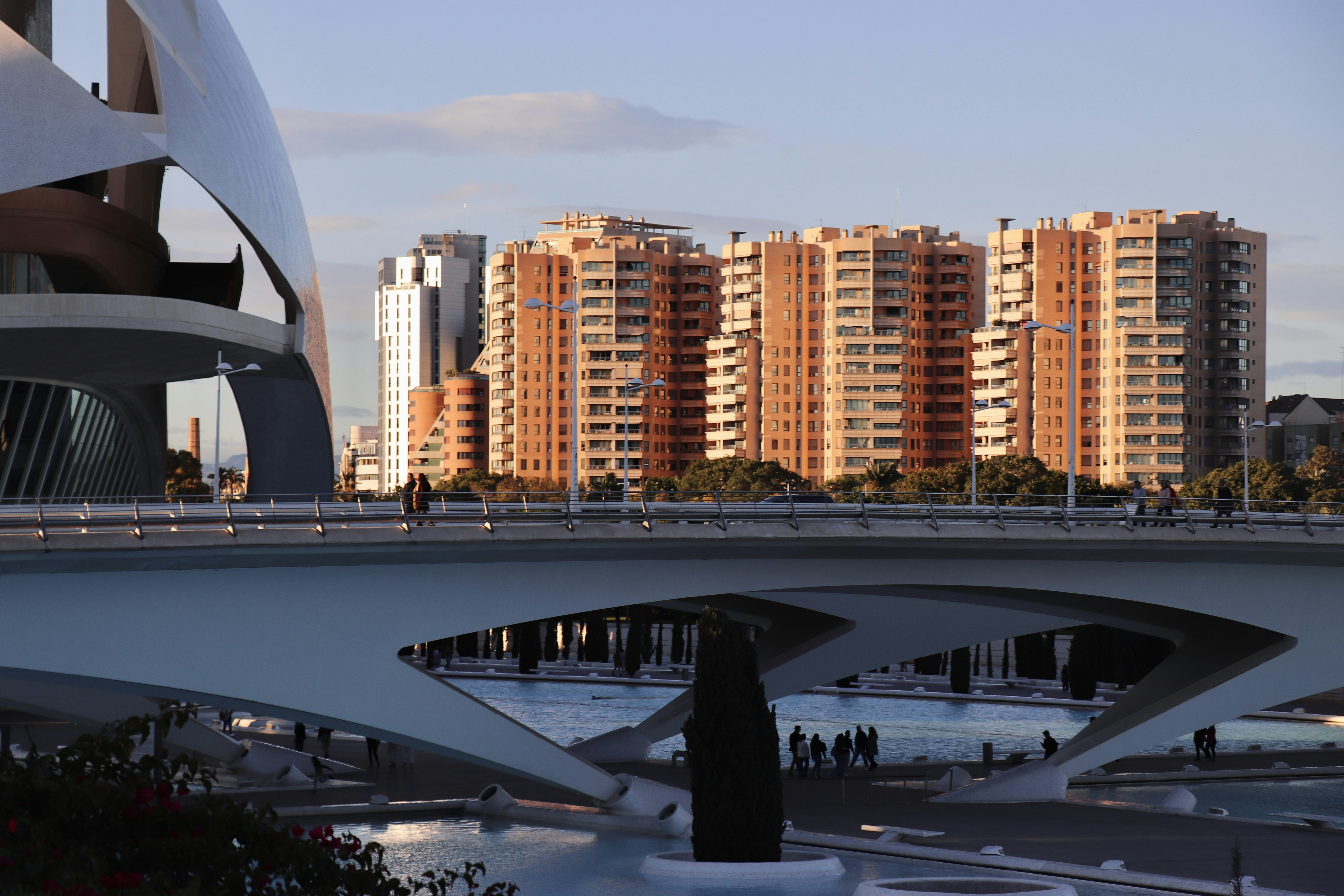 Los 15 mejores expertos en desarrollo de avatares de IA en Valencia