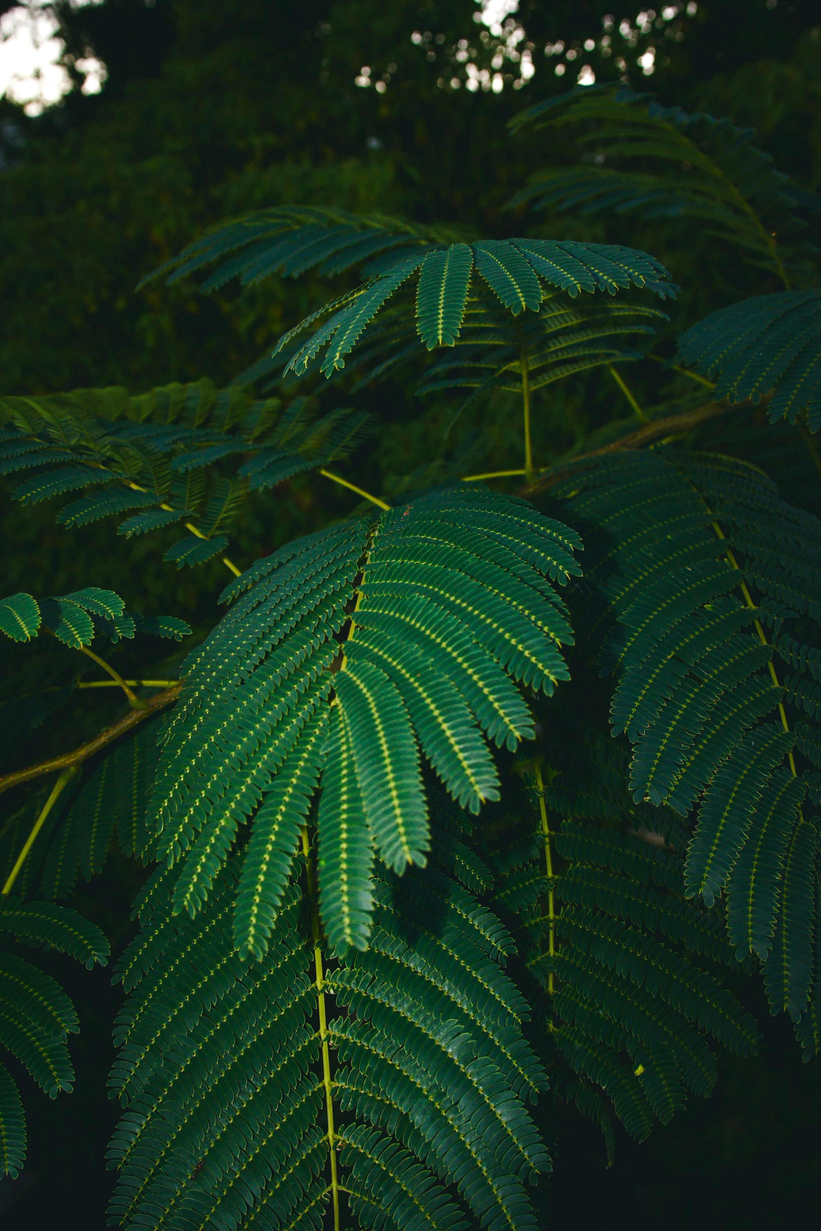 Photo by micah_avery