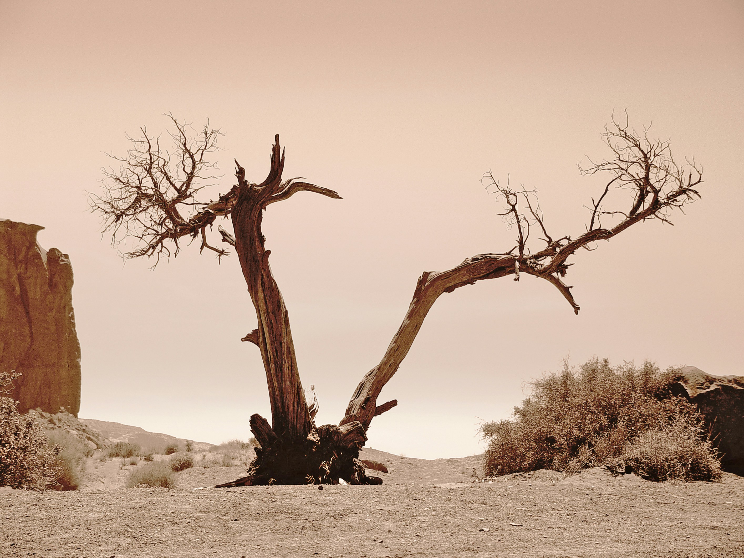 Photo by john_cardamone