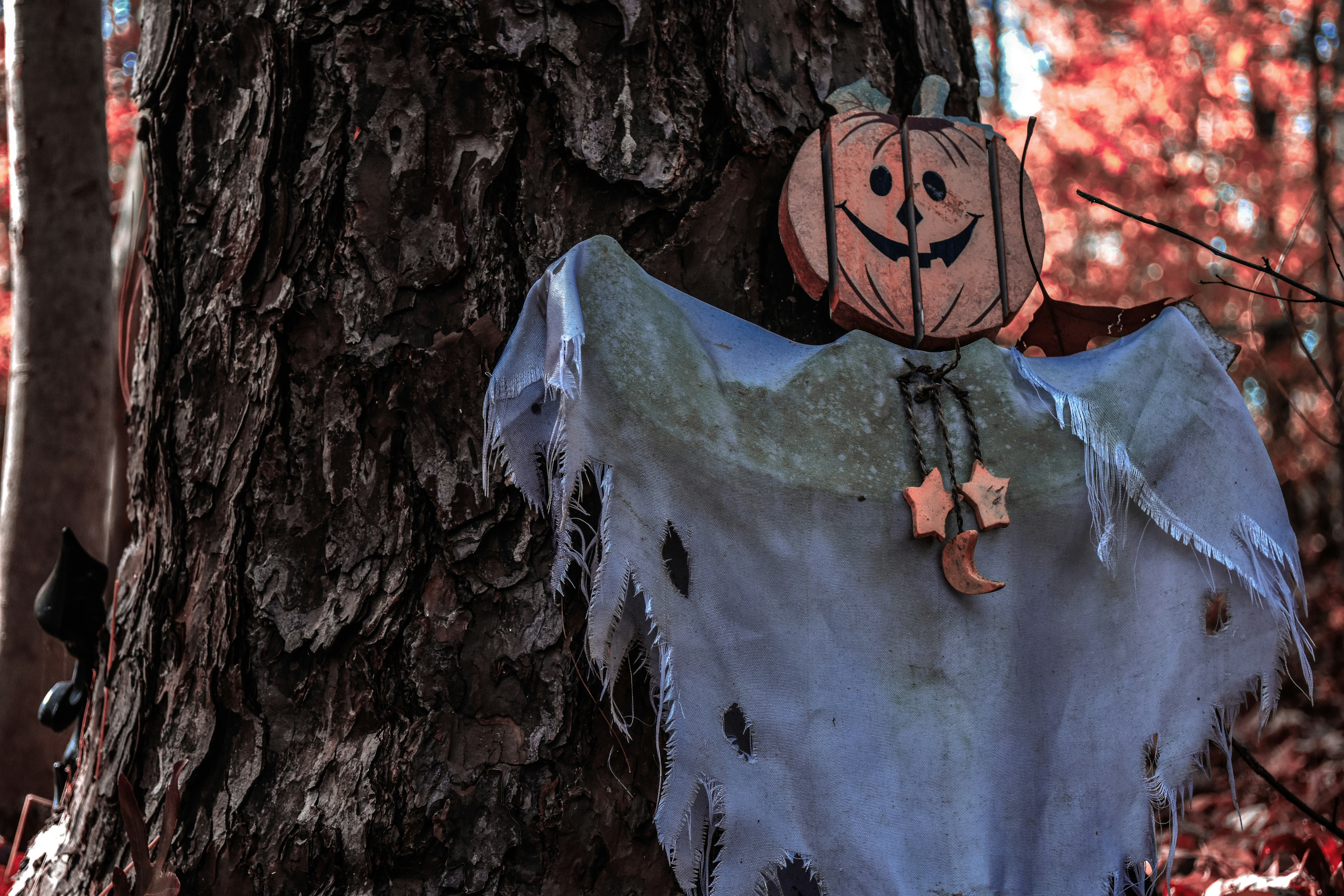 Photo by capturedbyvibemind