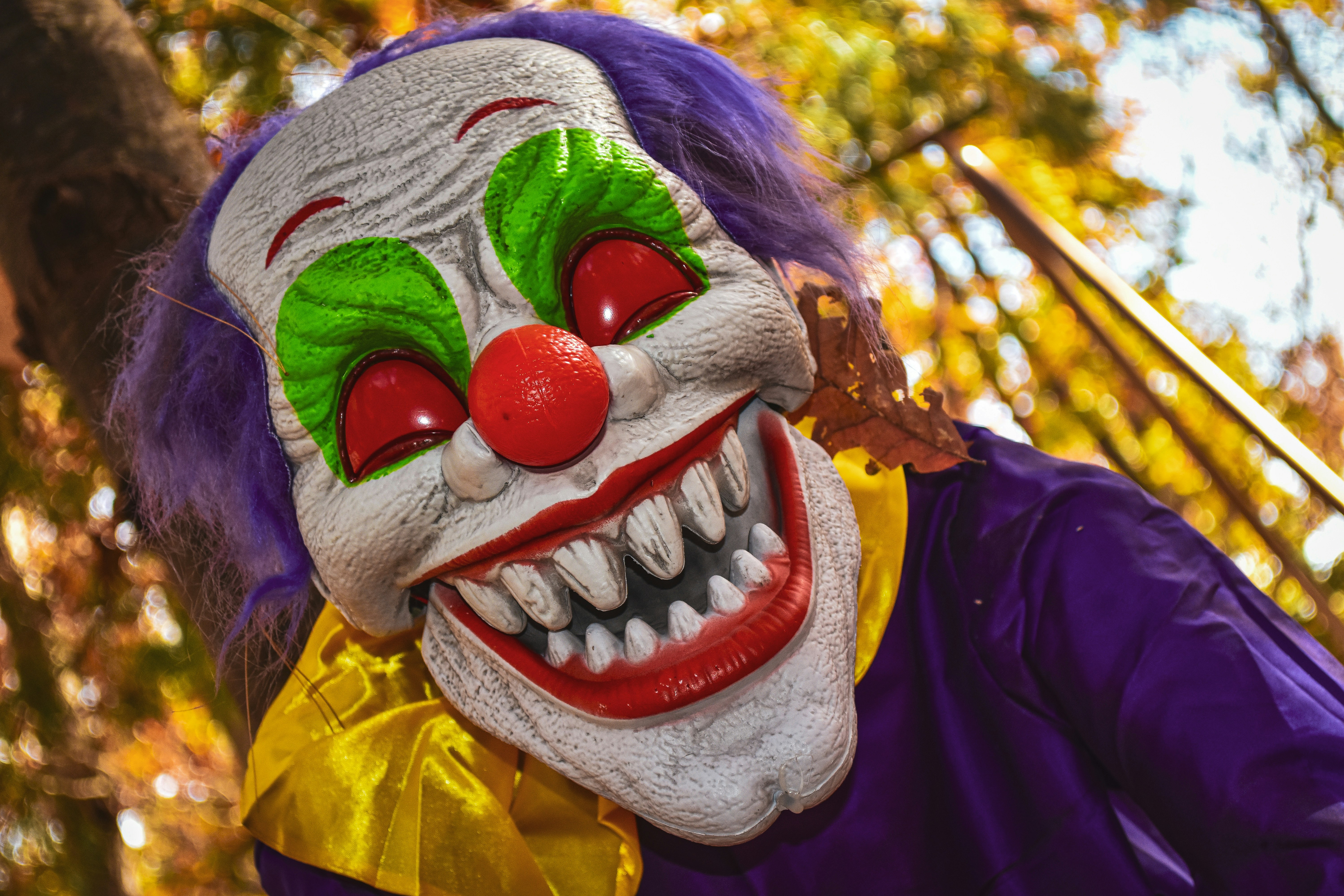 Photo by capturedbyvibemind