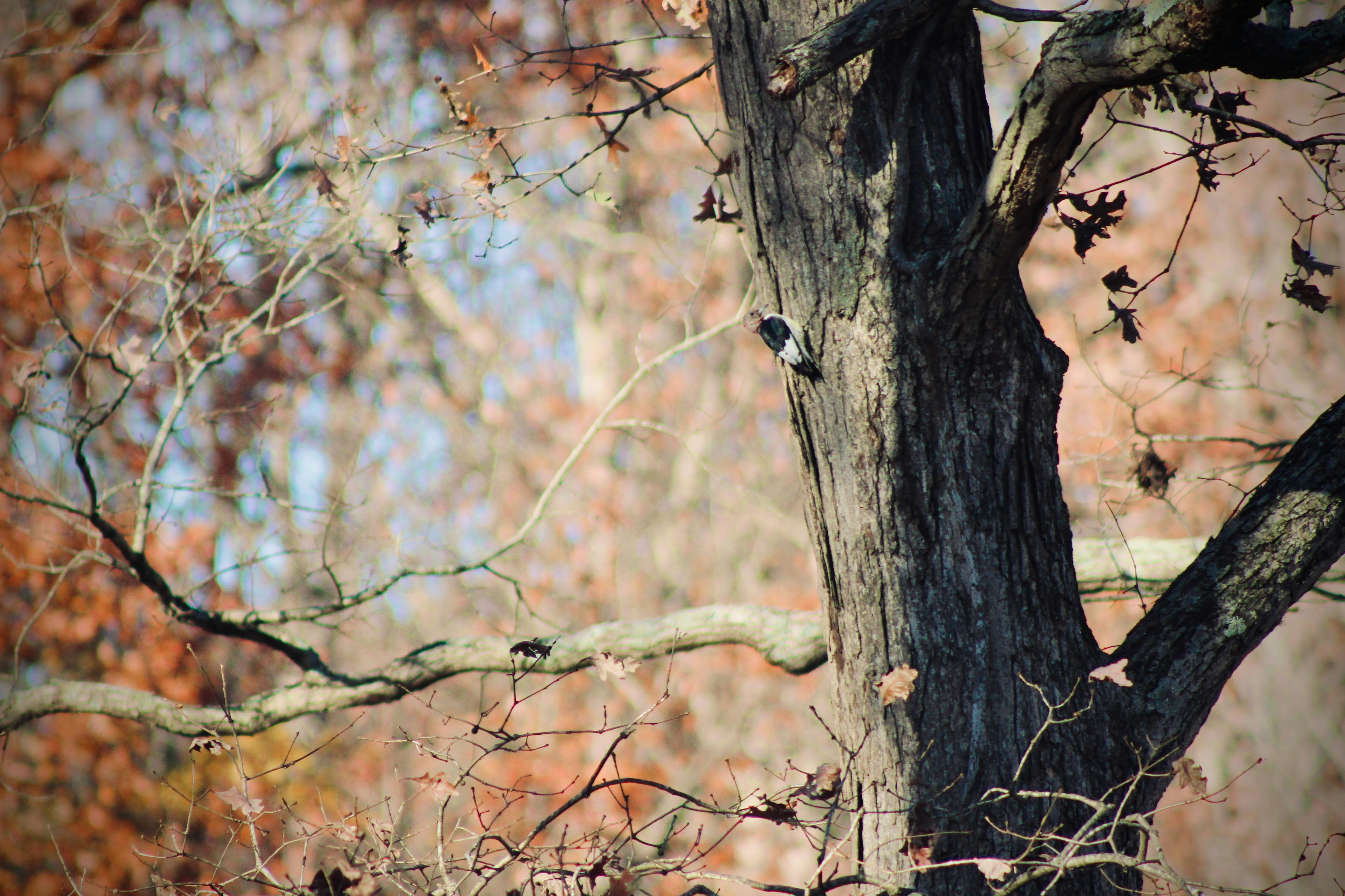 Photo by taylorpayne24