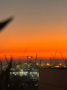 Industrial cranes silhouetted against a vibrant sunset sky