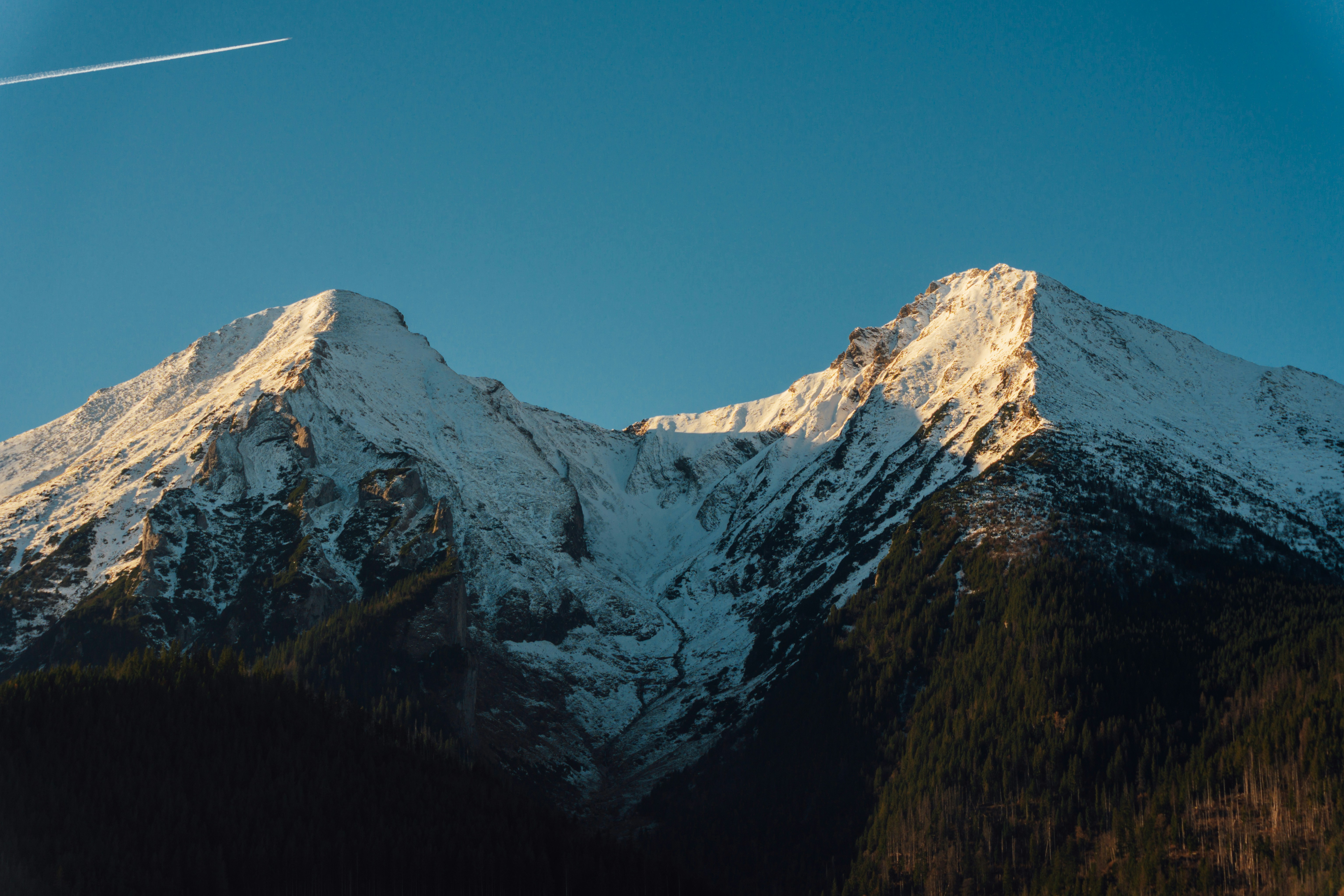 Photo by raymondpetrik