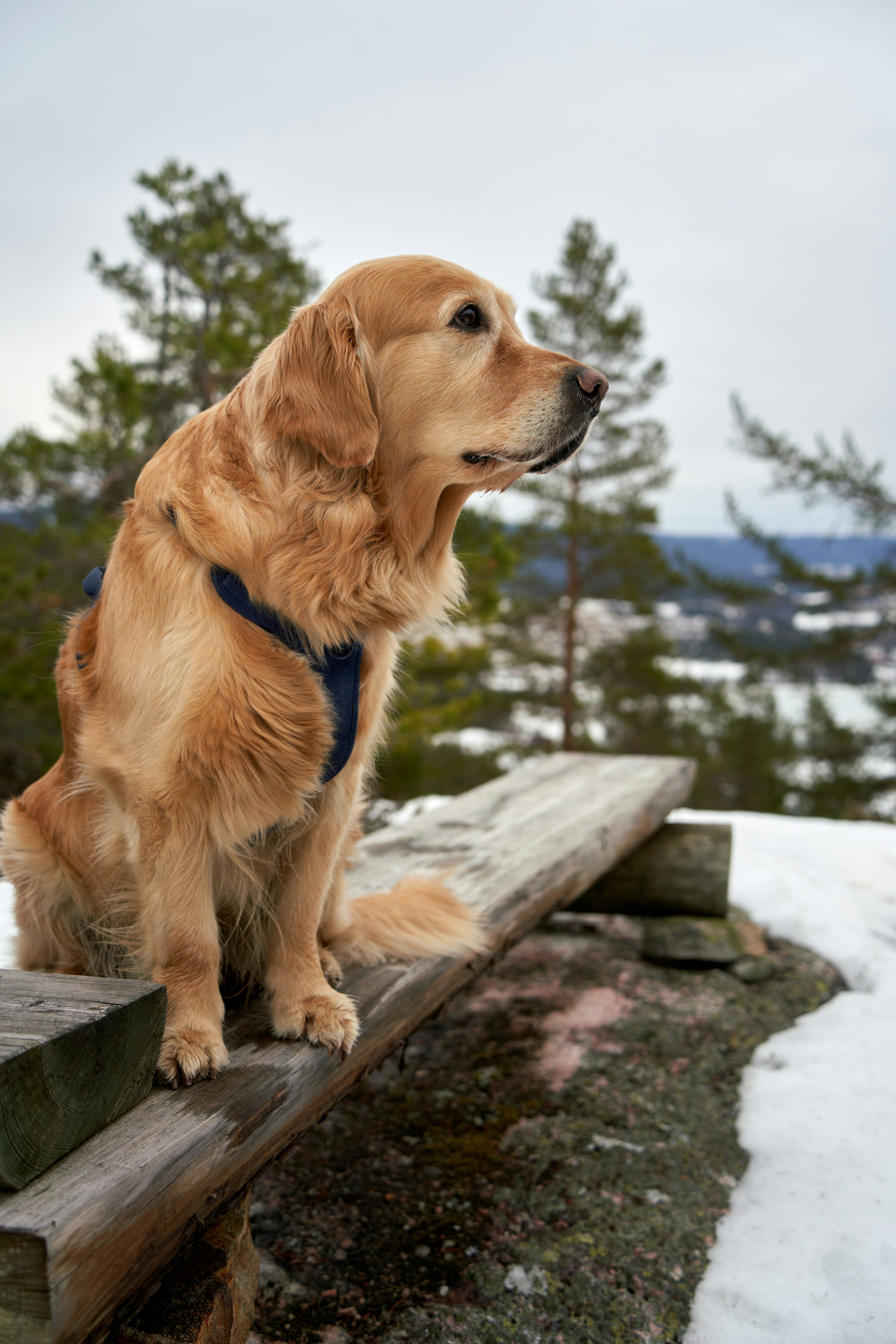 Photo by davotibarna