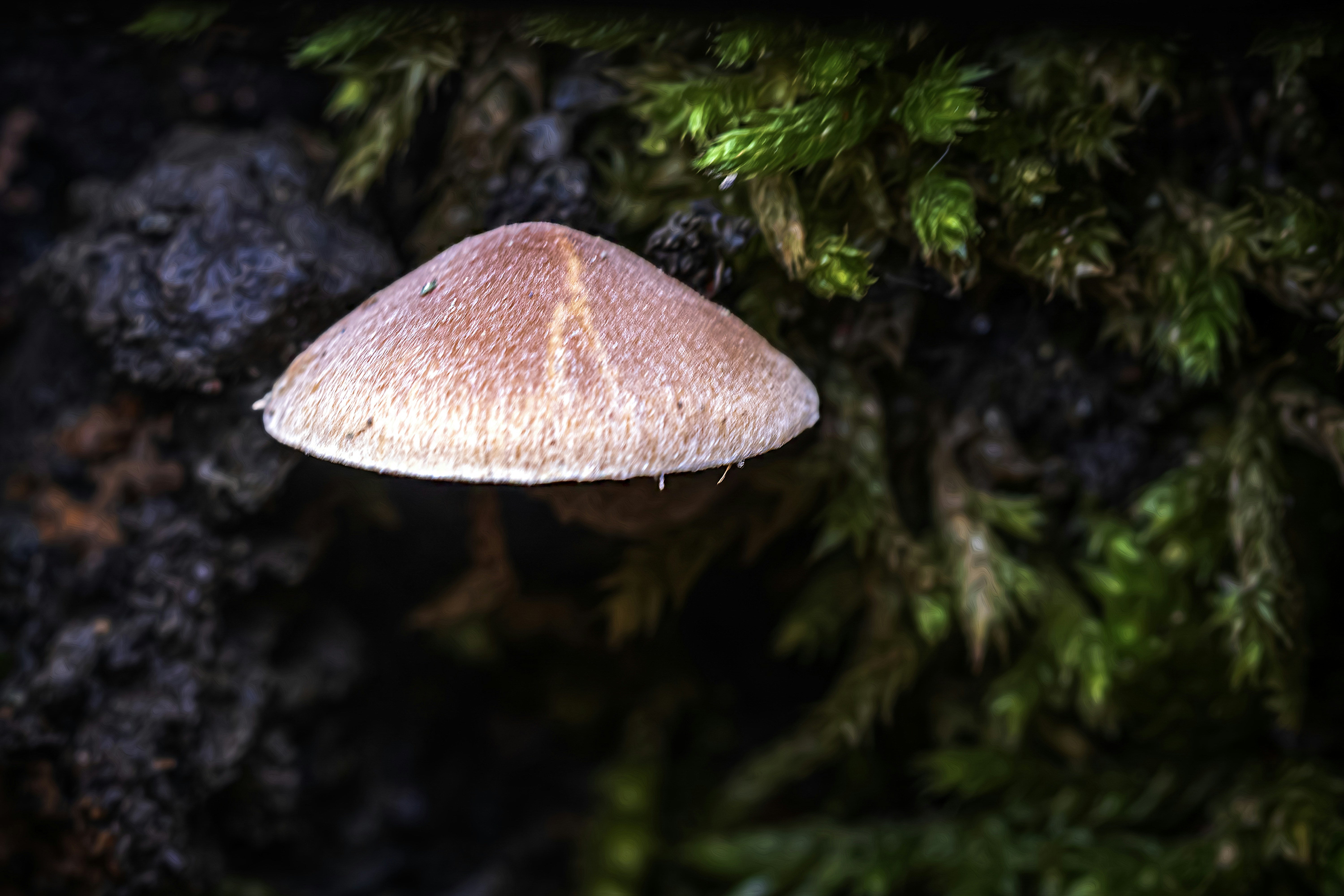 Photo by graphis_photos