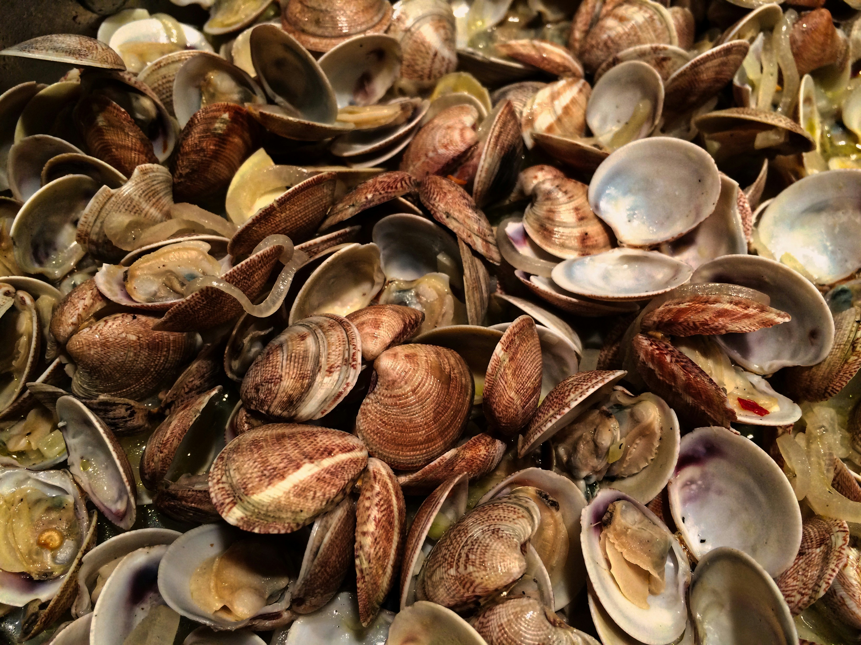 The Art of Fish Paté: A Portuguese Culinary Delight