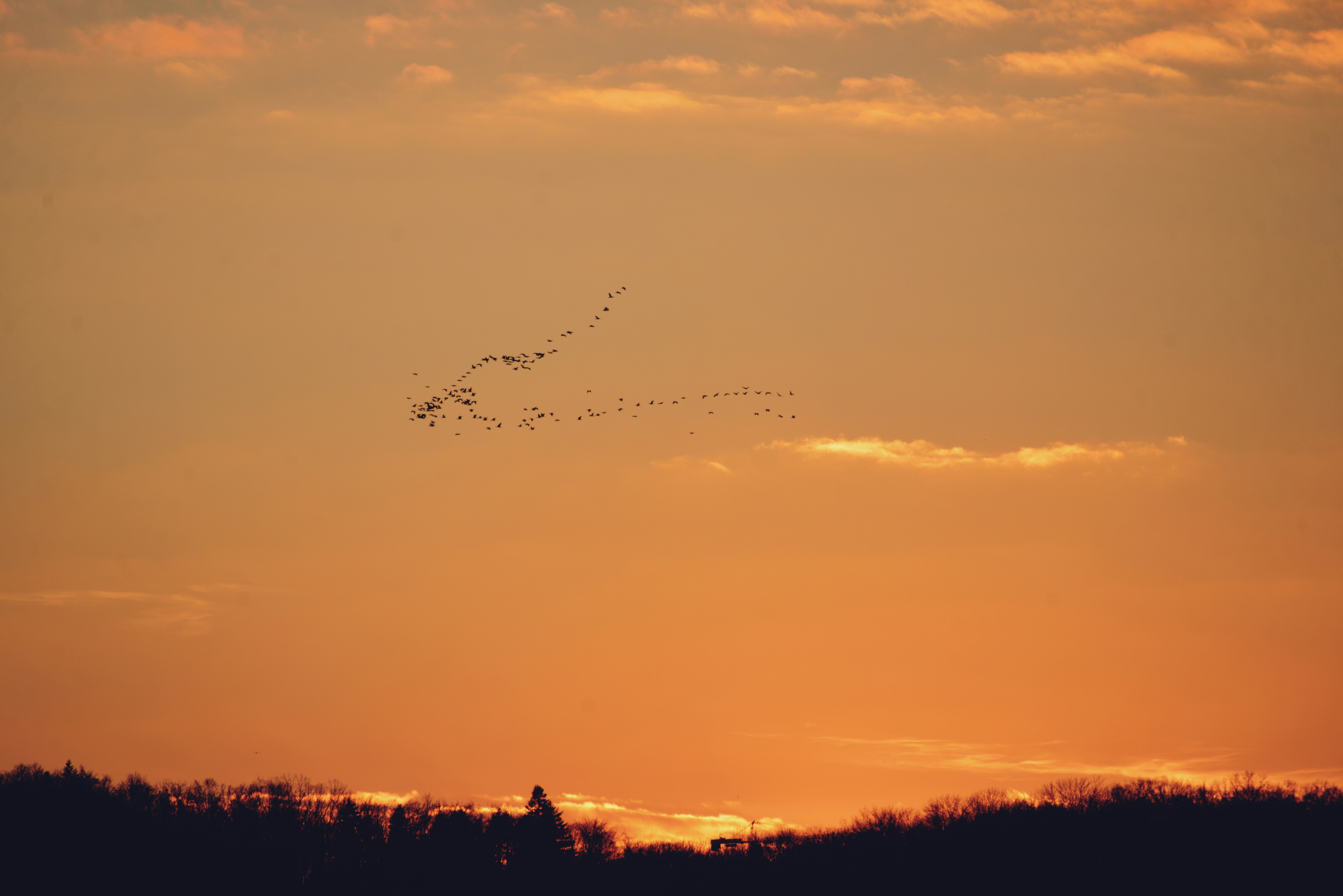 Photo by cherstve_pechivo