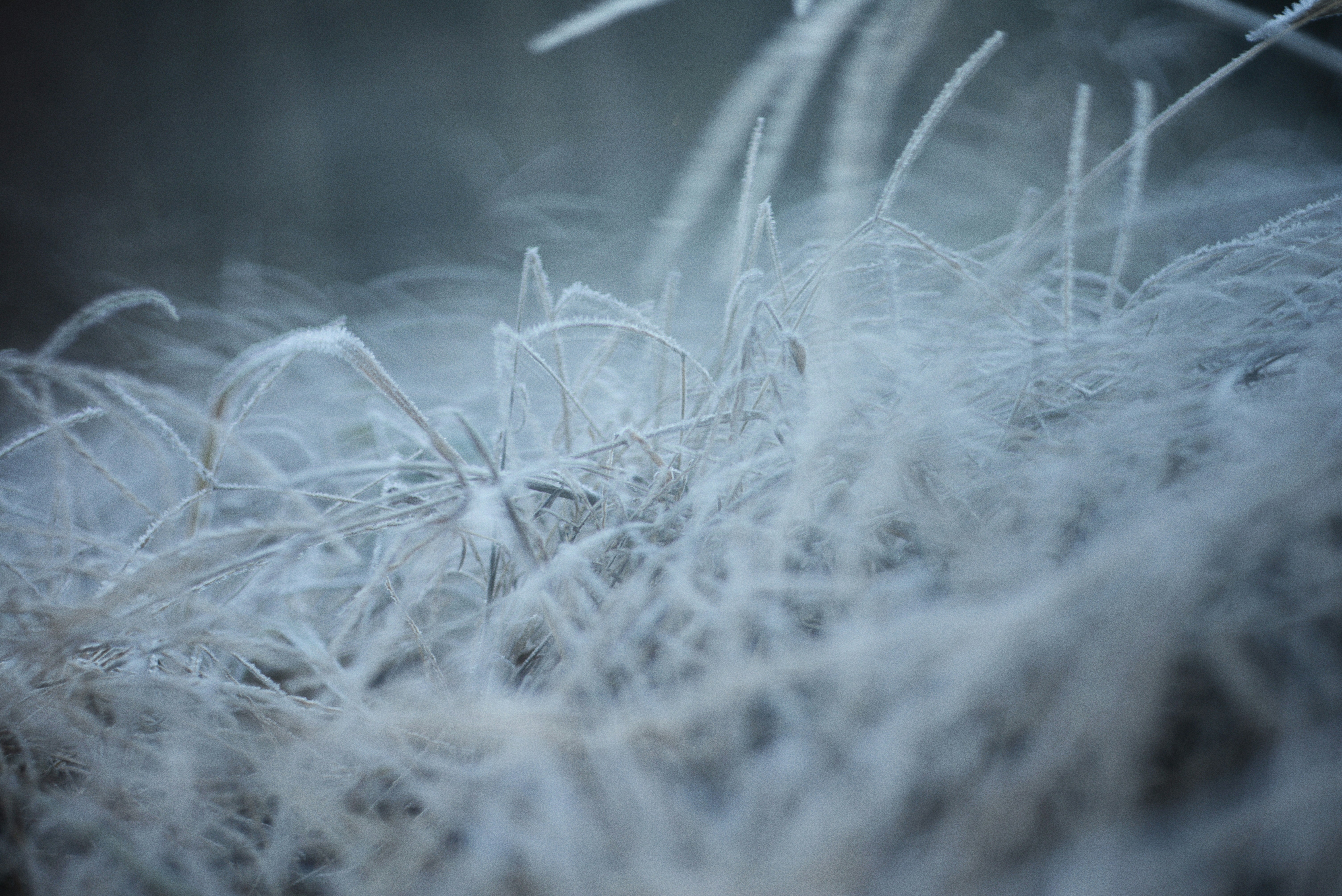 Photo by cherstve_pechivo