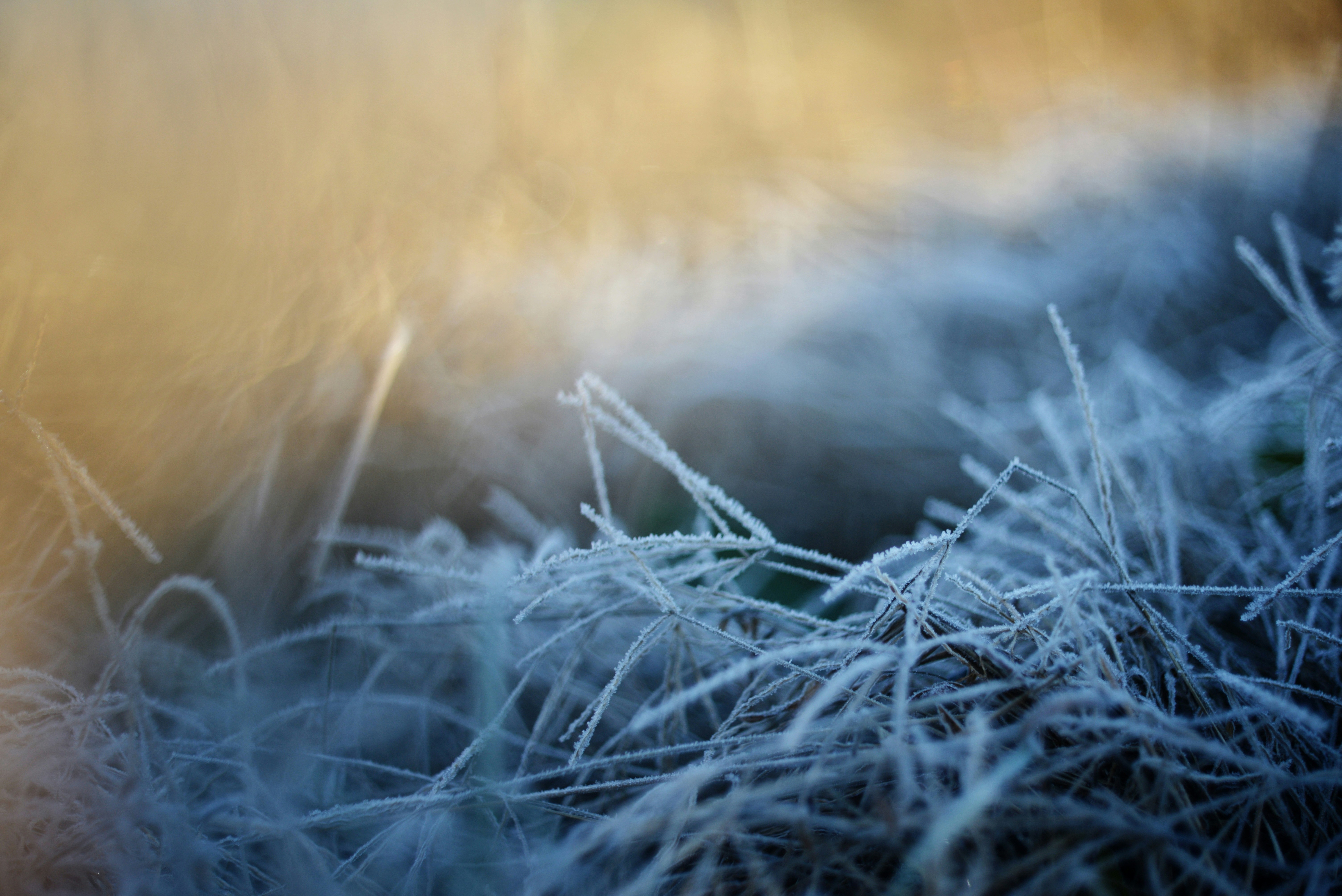 Photo by cherstve_pechivo