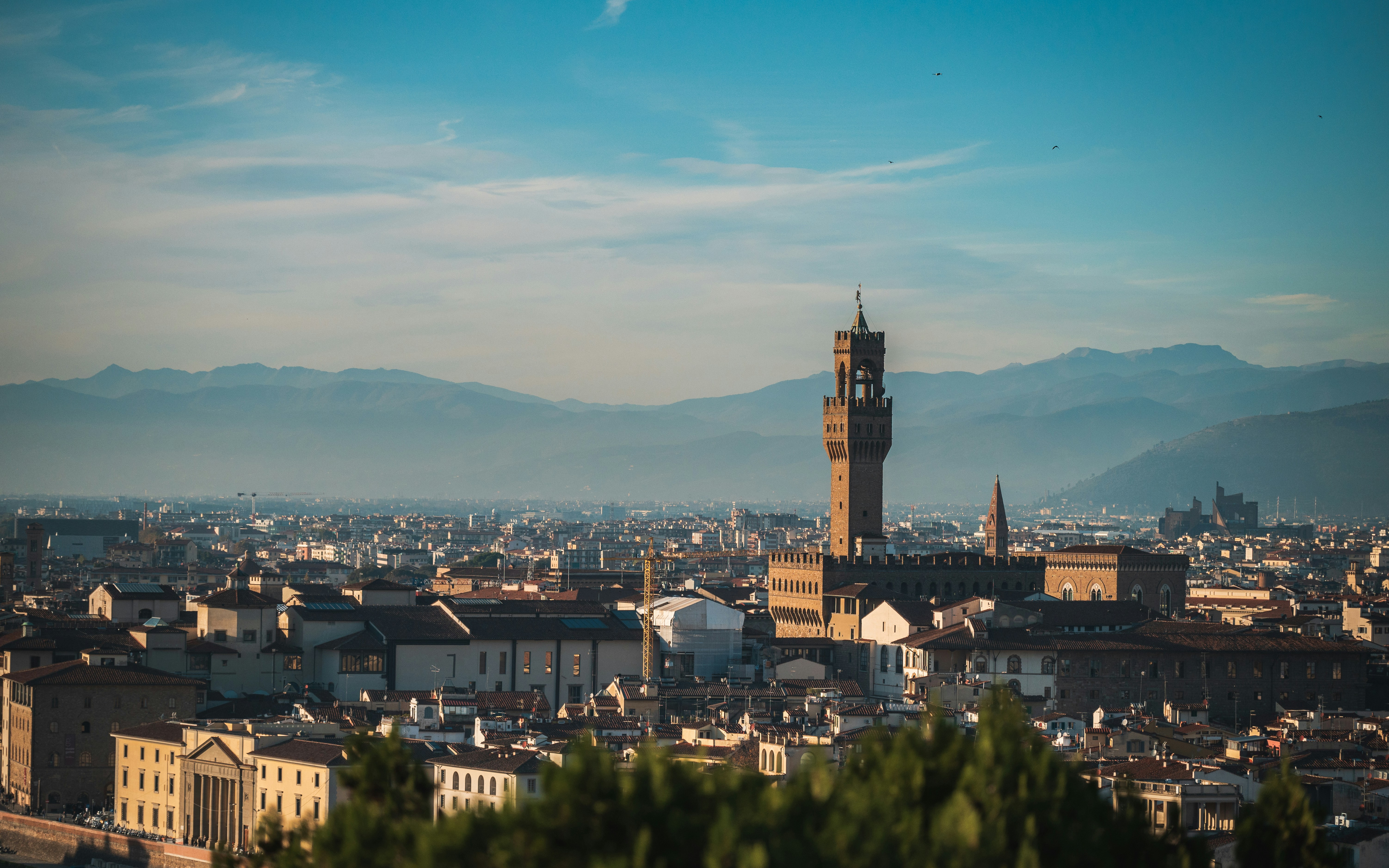 Photo by bayern_lens