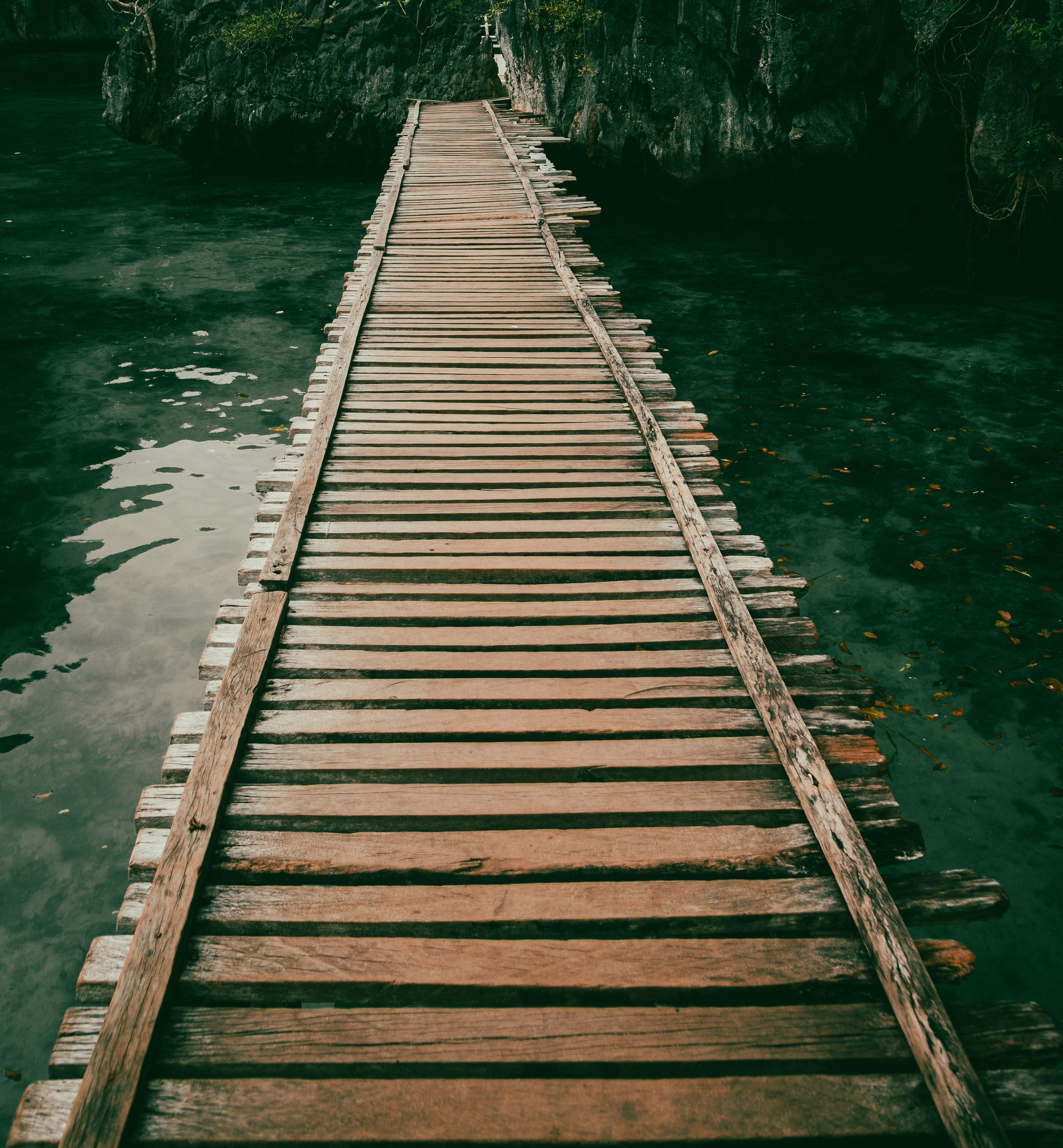 Puente de madera sobre aguas oscuras y tranquilas