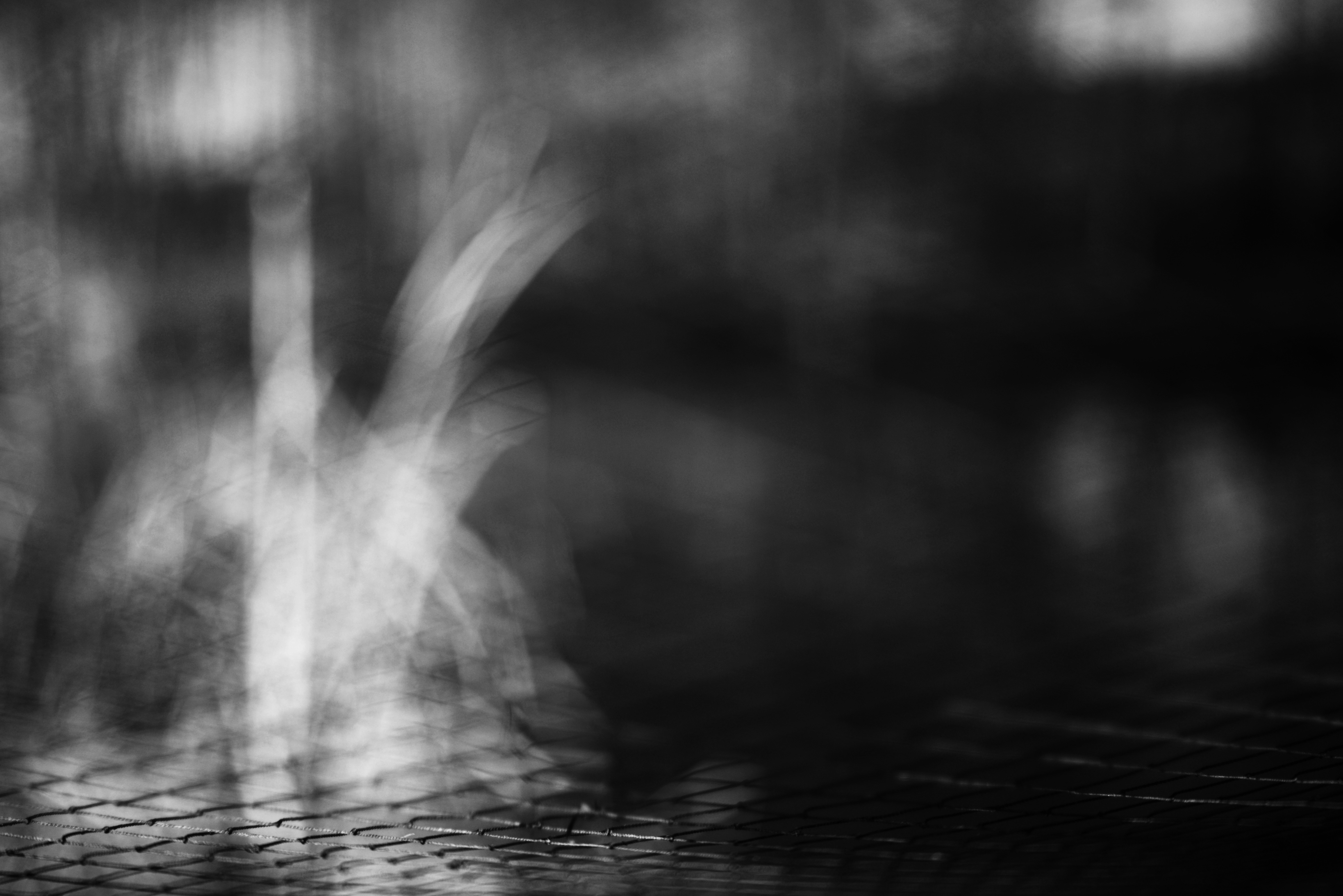 Photo by cherstve_pechivo