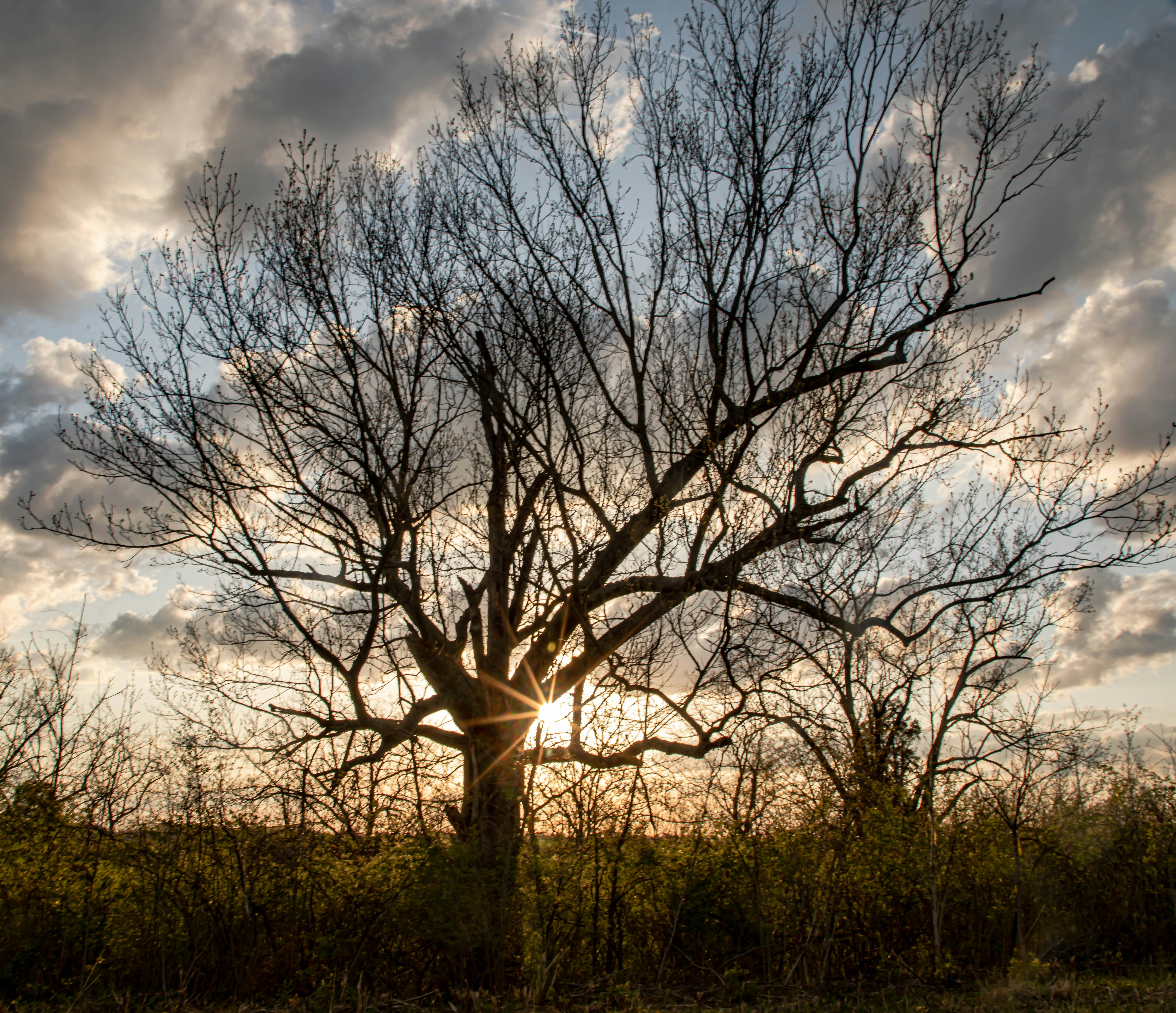 Photo by mitchbagnet