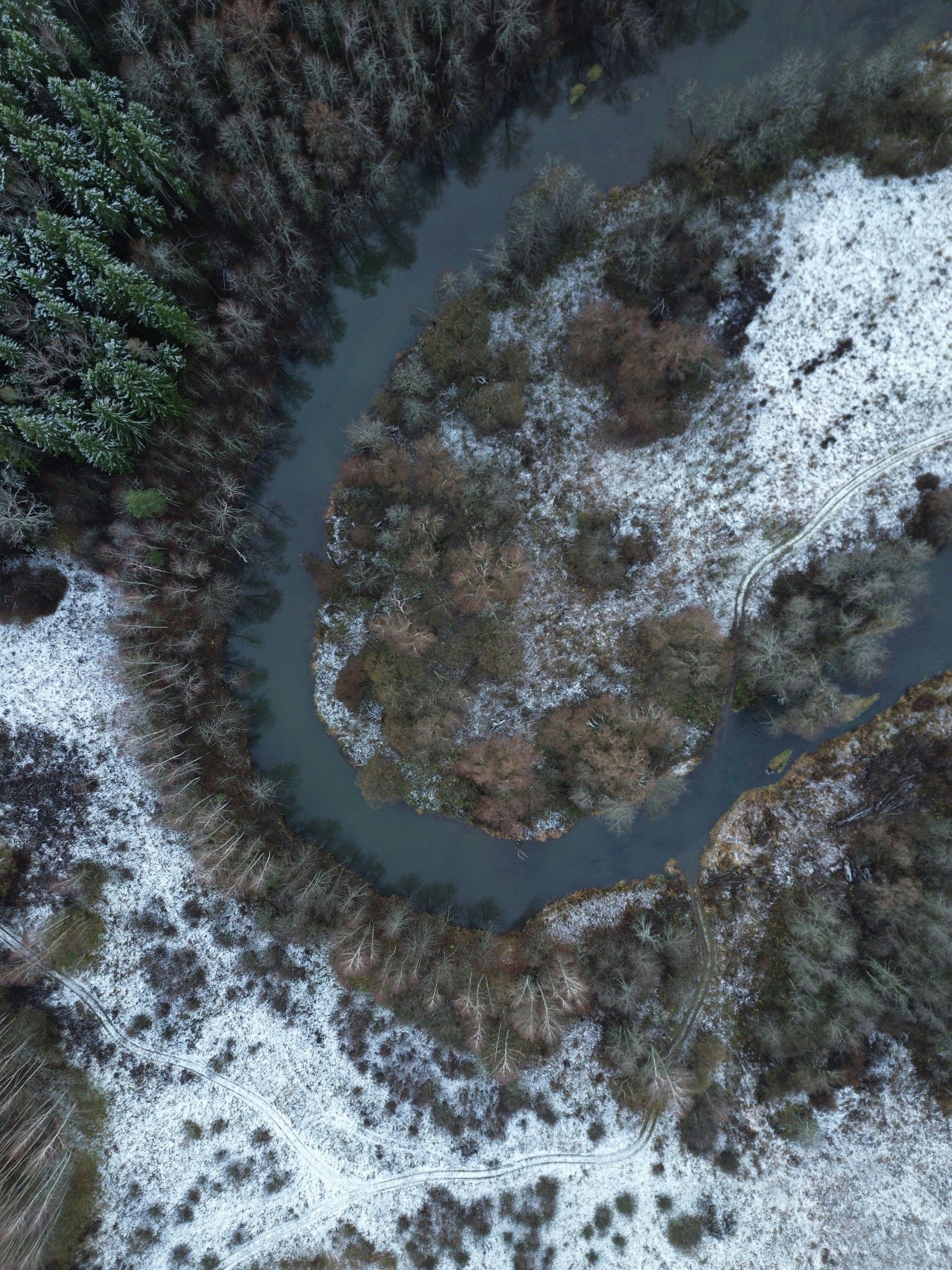 Photo by artemisss666