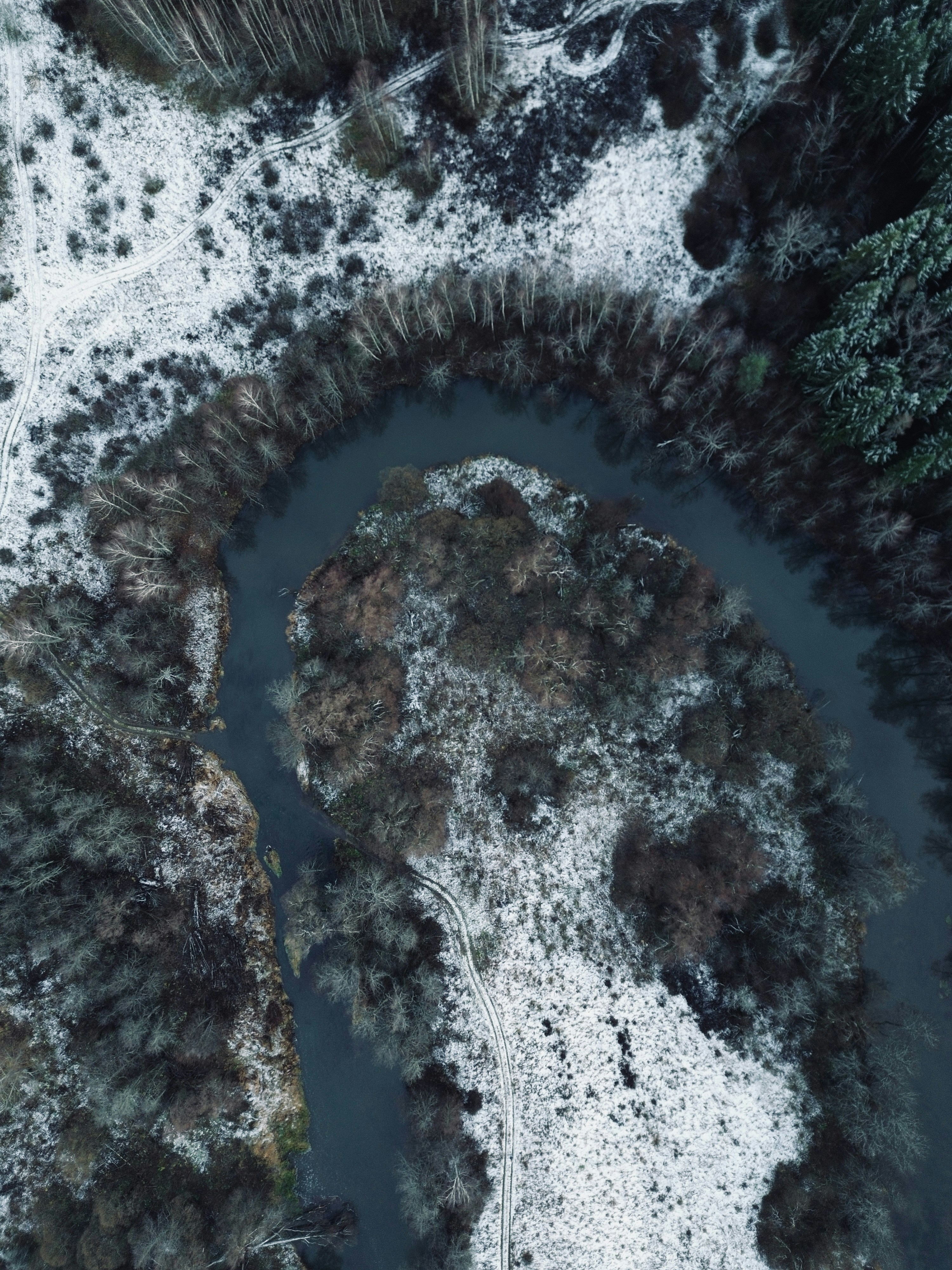 Photo by artemisss666